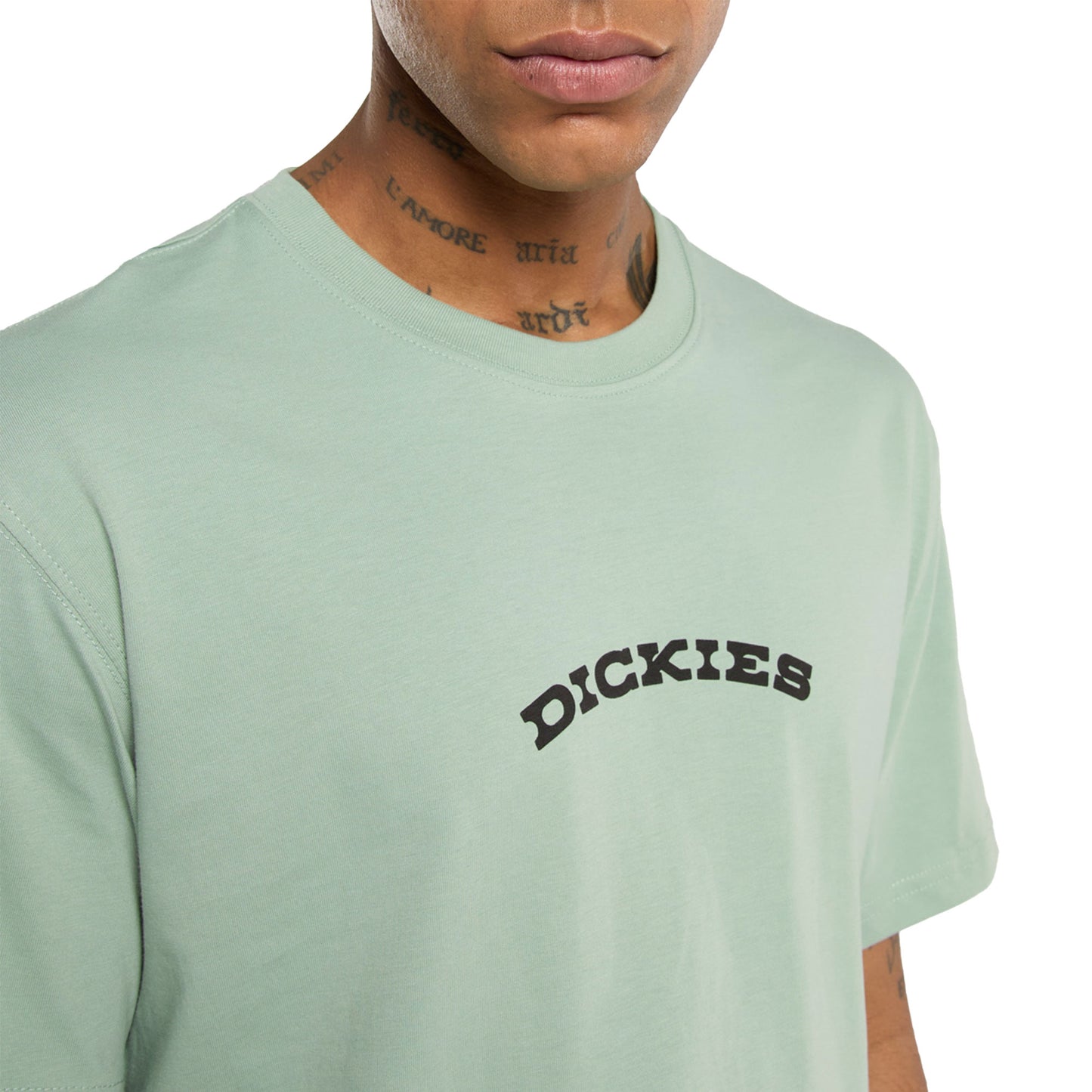Dickies Outdoor SS Tee Iceberg Green - DK0A4Z8PK36