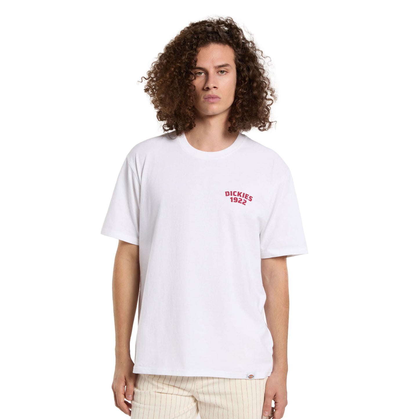 Dickies Mechanic SS Tee White - DK0A4Z960WH