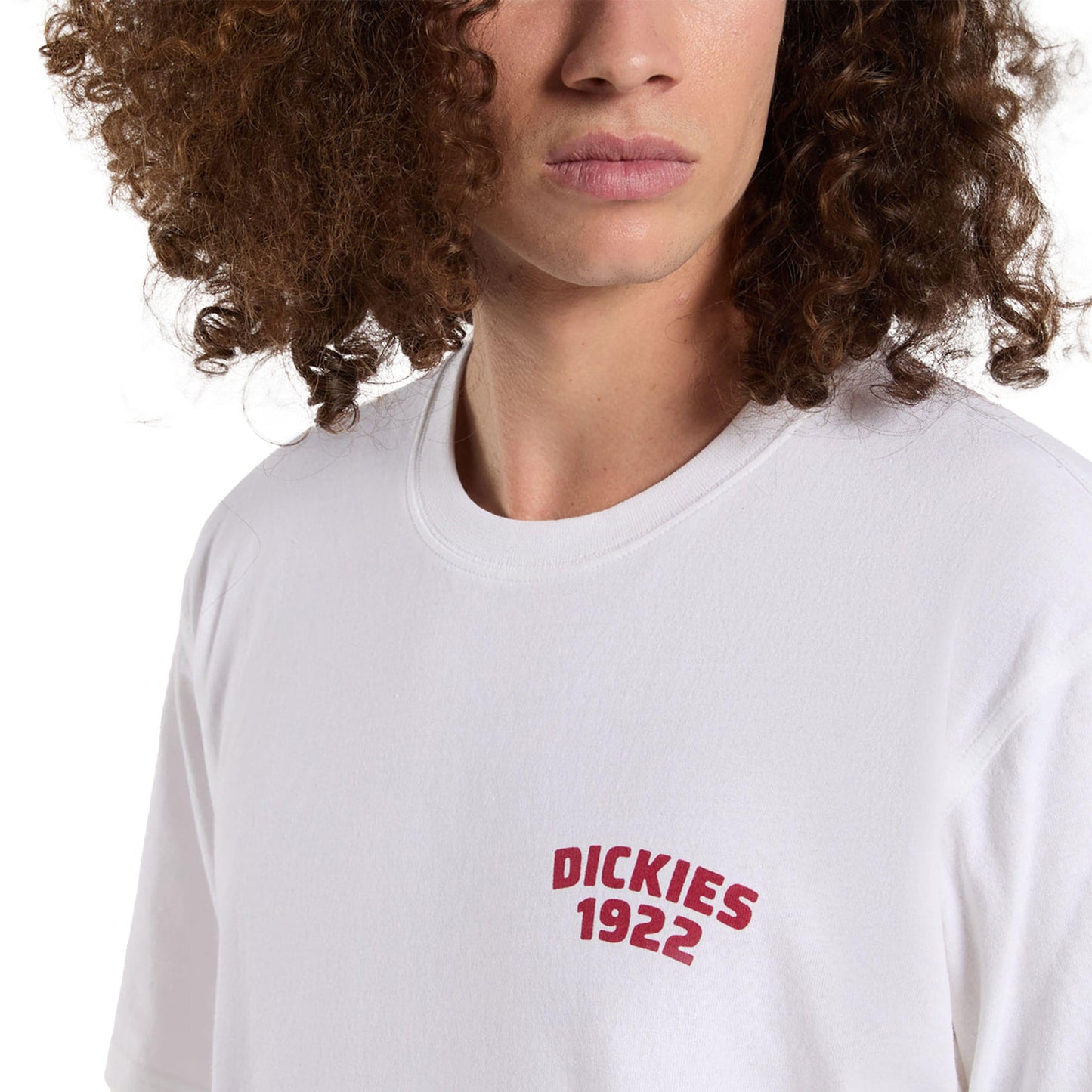 Dickies Mechanic SS Tee White - DK0A4Z960WH