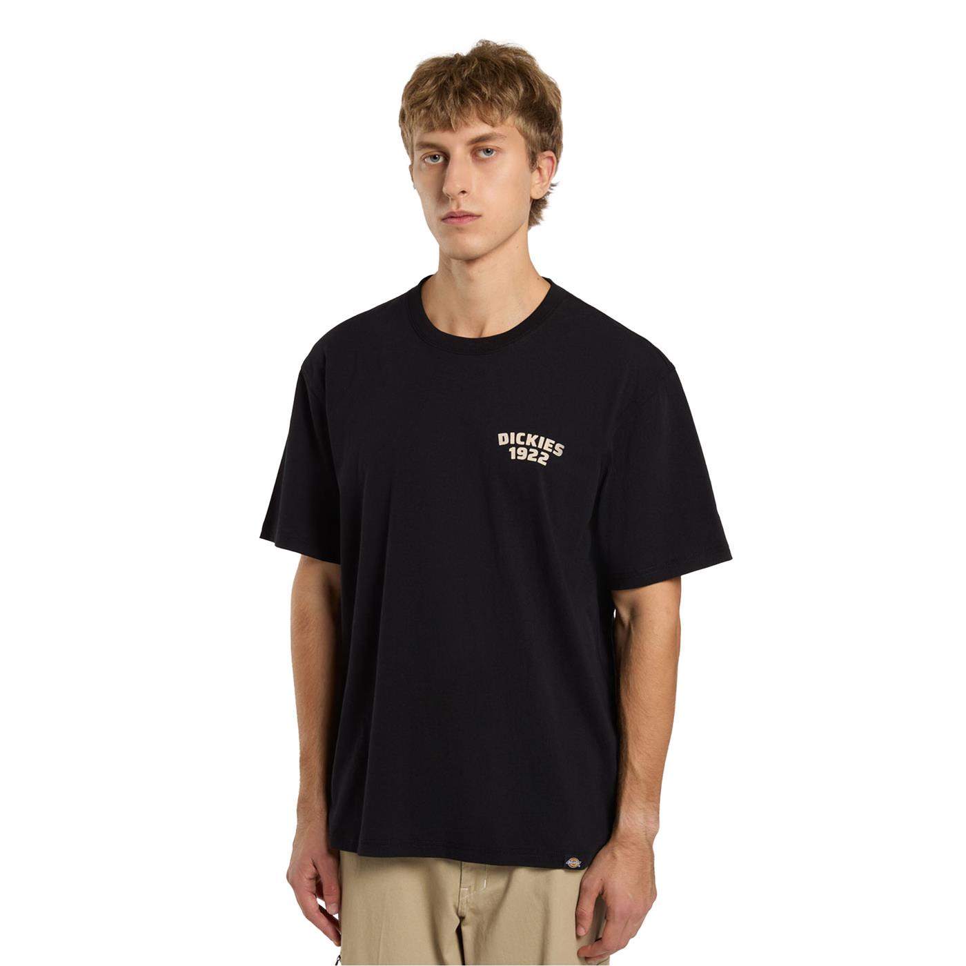 Dickies Mechanic SS Tee Black - DK0A4Z96BLK