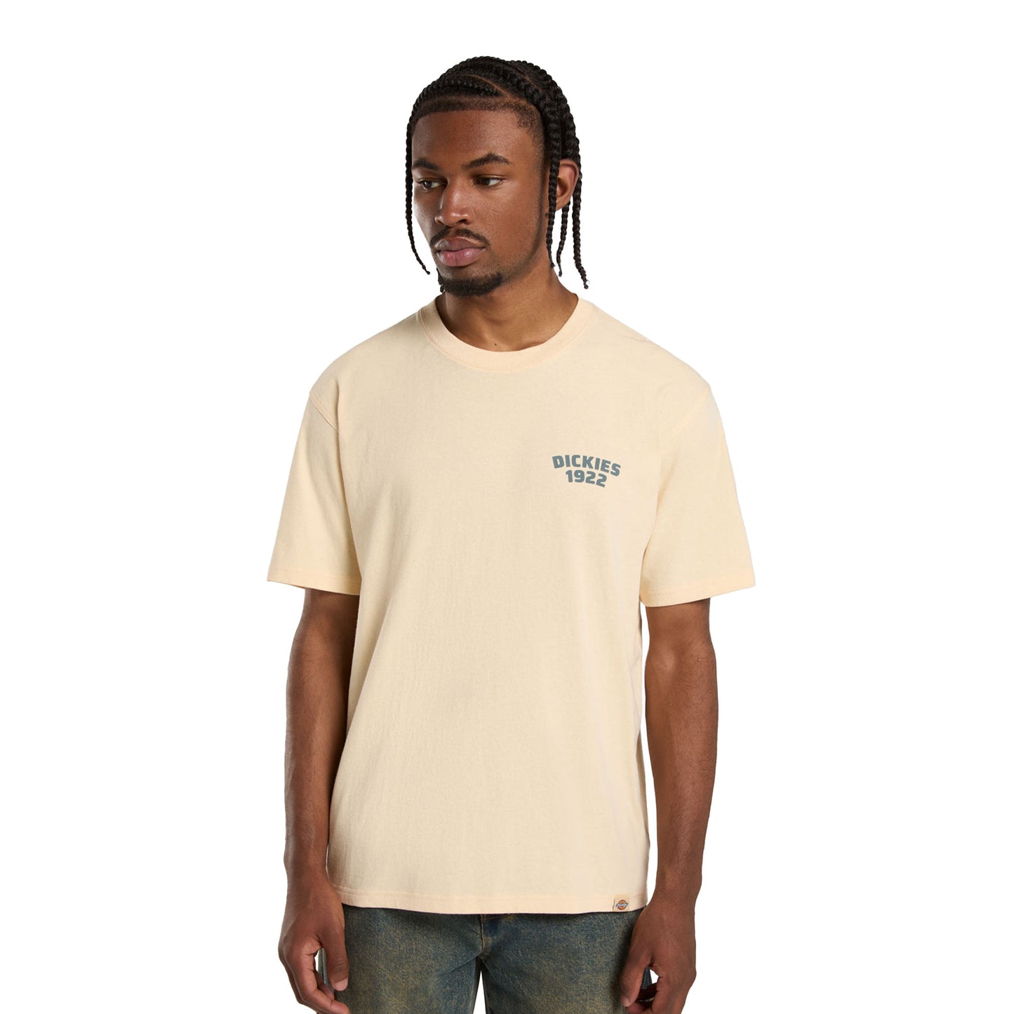 Dickies Mechanic SS Tee Corn Husk - DK0A4Z96K53