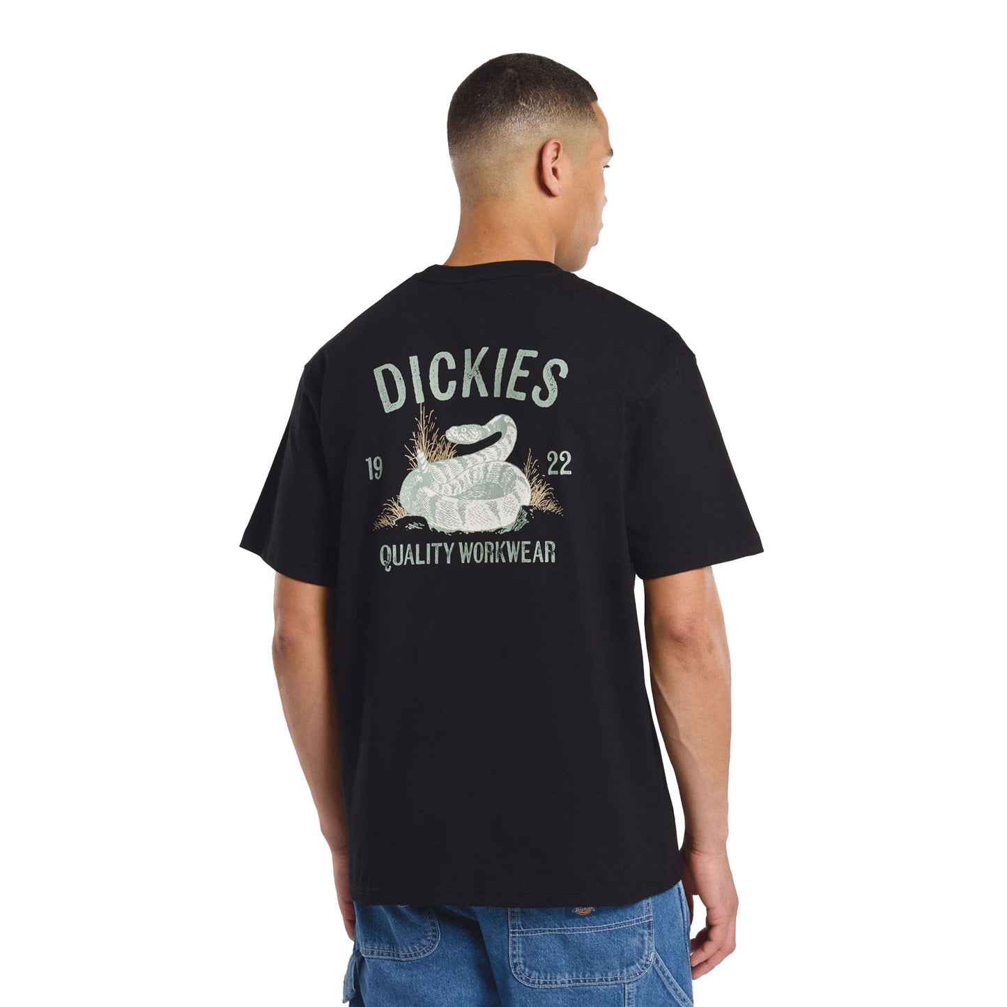 Dickies Snake SS Tee Black - DK0A4Z99BLK