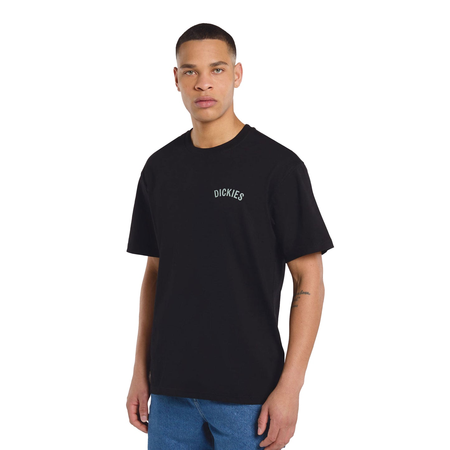 Dickies Snake SS Tee Black - DK0A4Z99BLK