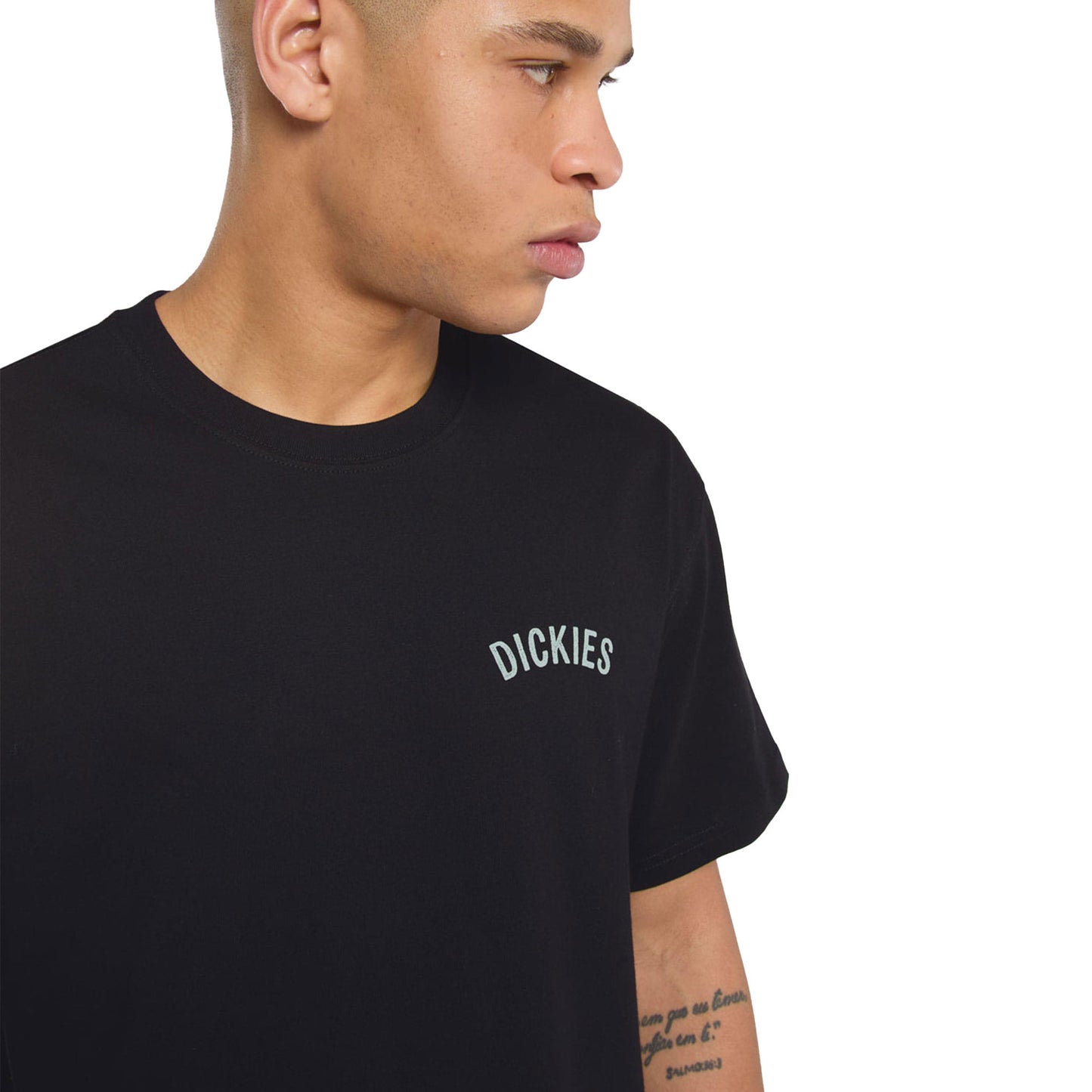 Dickies Snake SS Tee Black - DK0A4Z99BLK