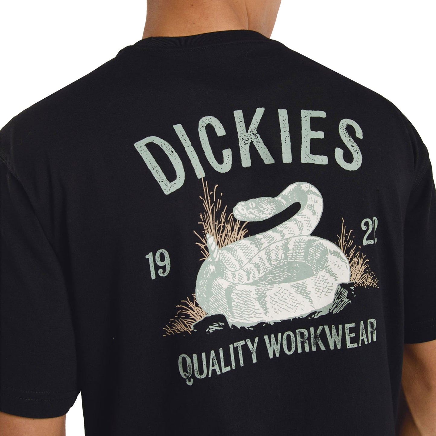 Dickies Snake SS Tee Black - DK0A4Z99BLK