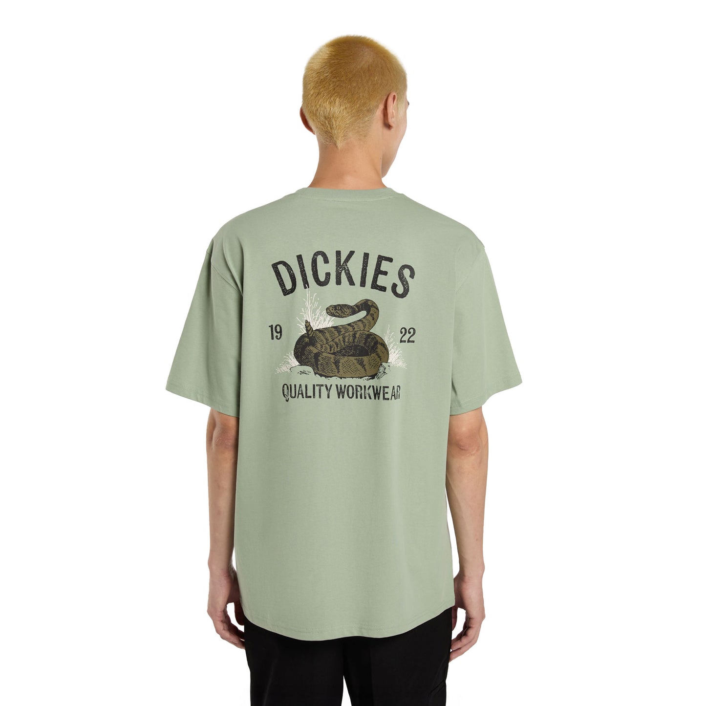 Dickies Snake SS Tee Iceberg Green - DK0A4Z99K36