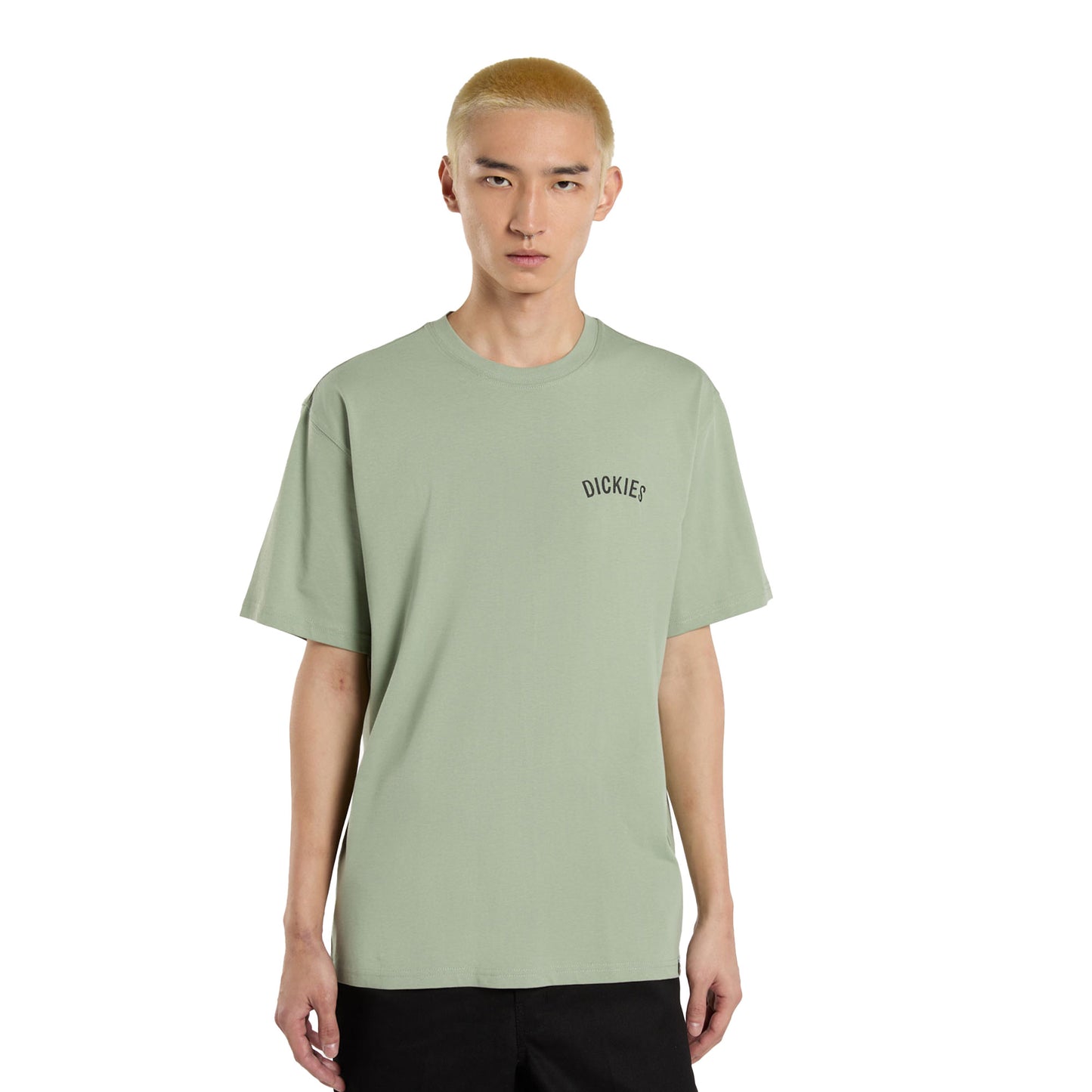 Dickies Snake SS Tee Iceberg Green - DK0A4Z99K36