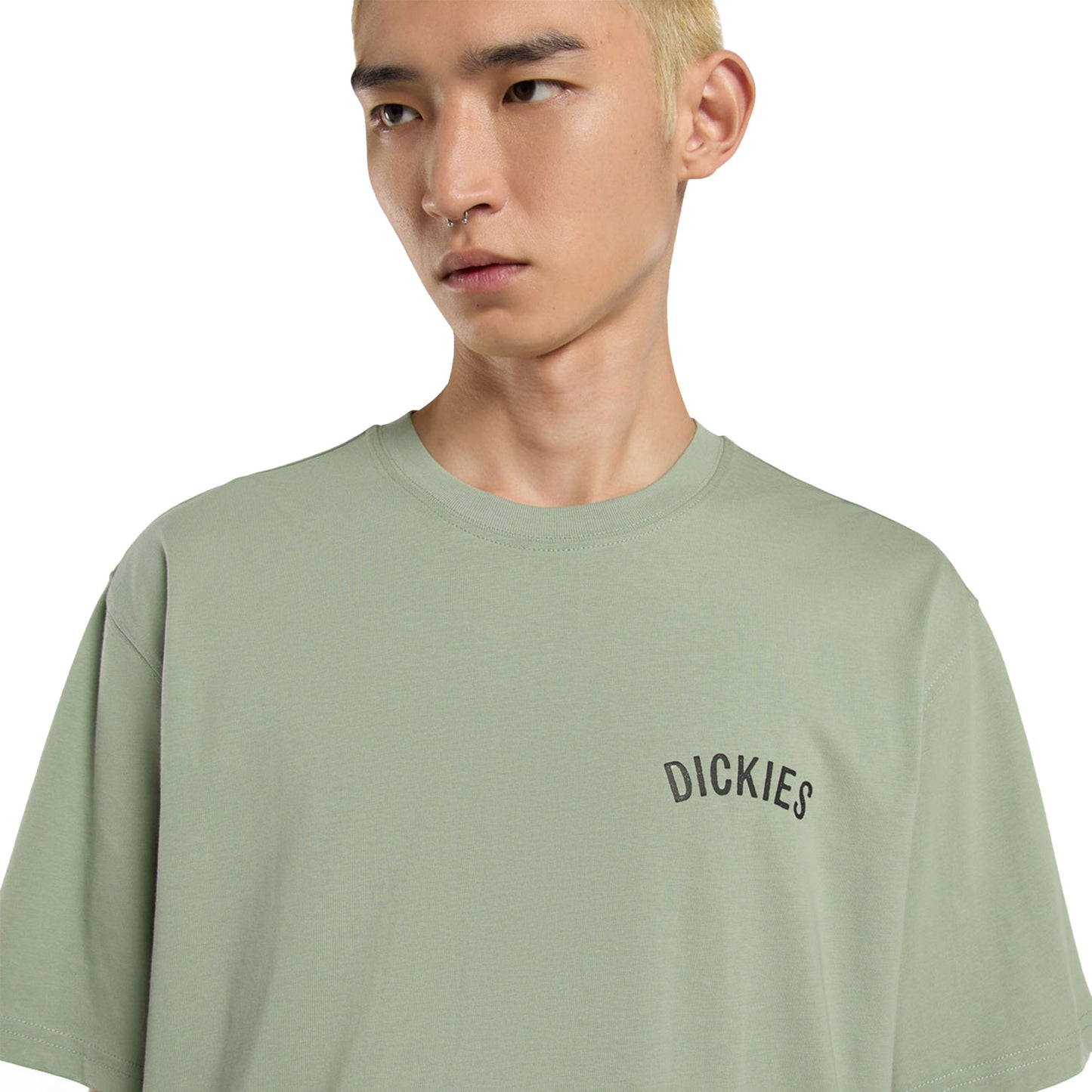Dickies Snake SS Tee Iceberg Green - DK0A4Z99K36