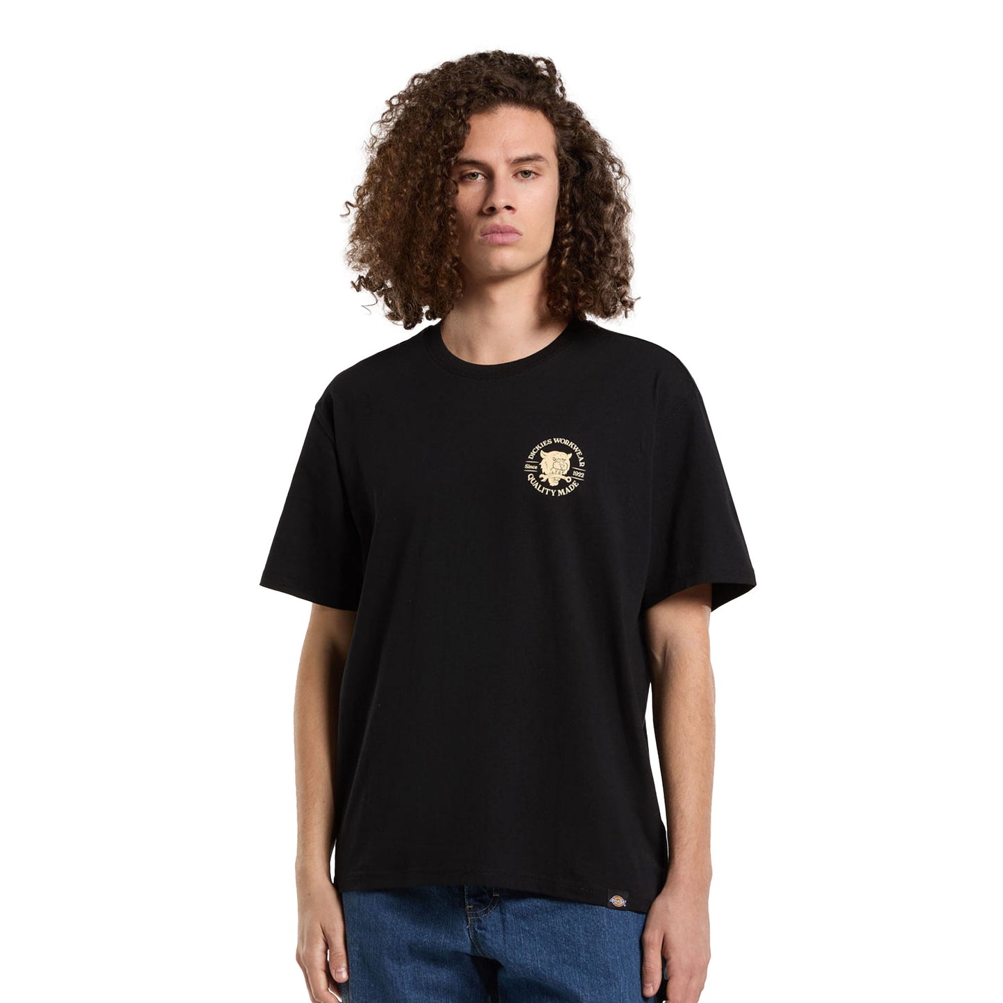 Dickies Wrench SS Tee Black - DK0A4ZARBLK