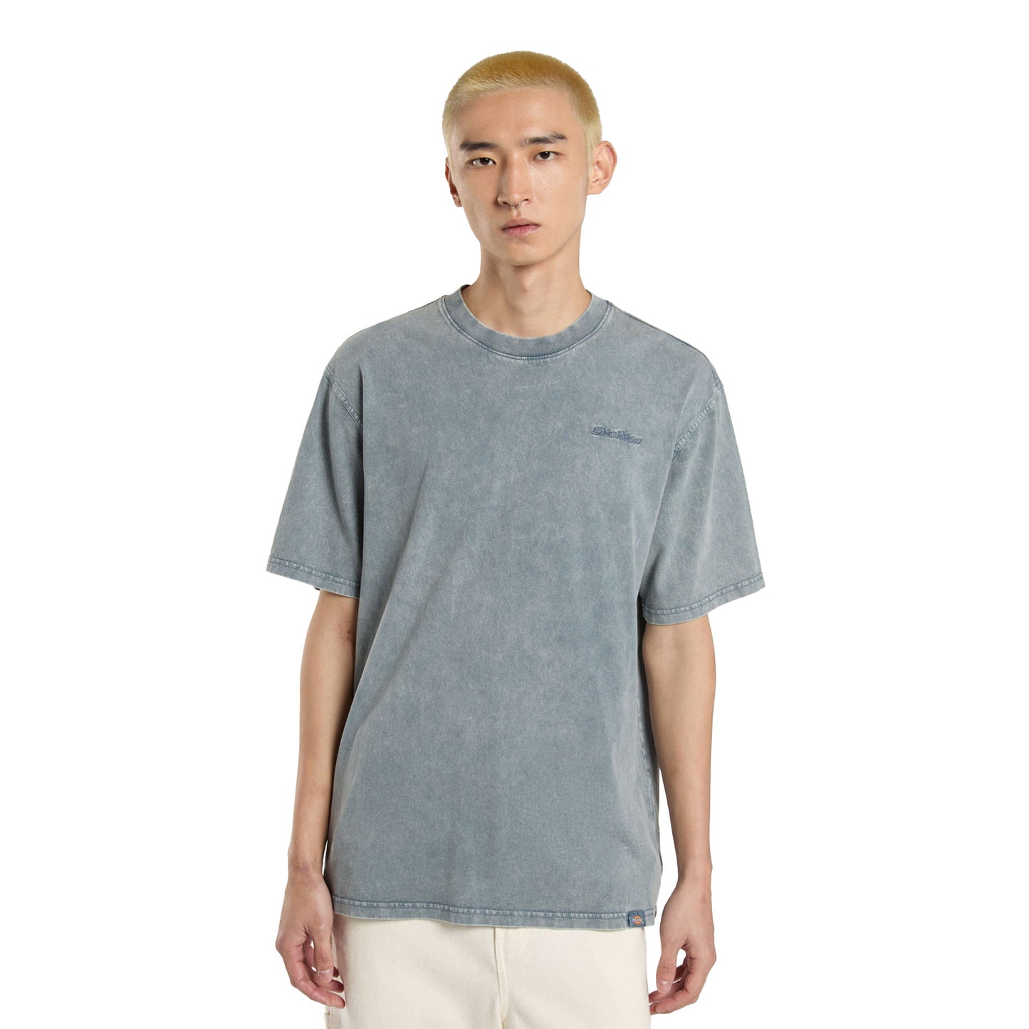 Dickies Plentywood SS Tee Stormy Weather - DK0A866BG70