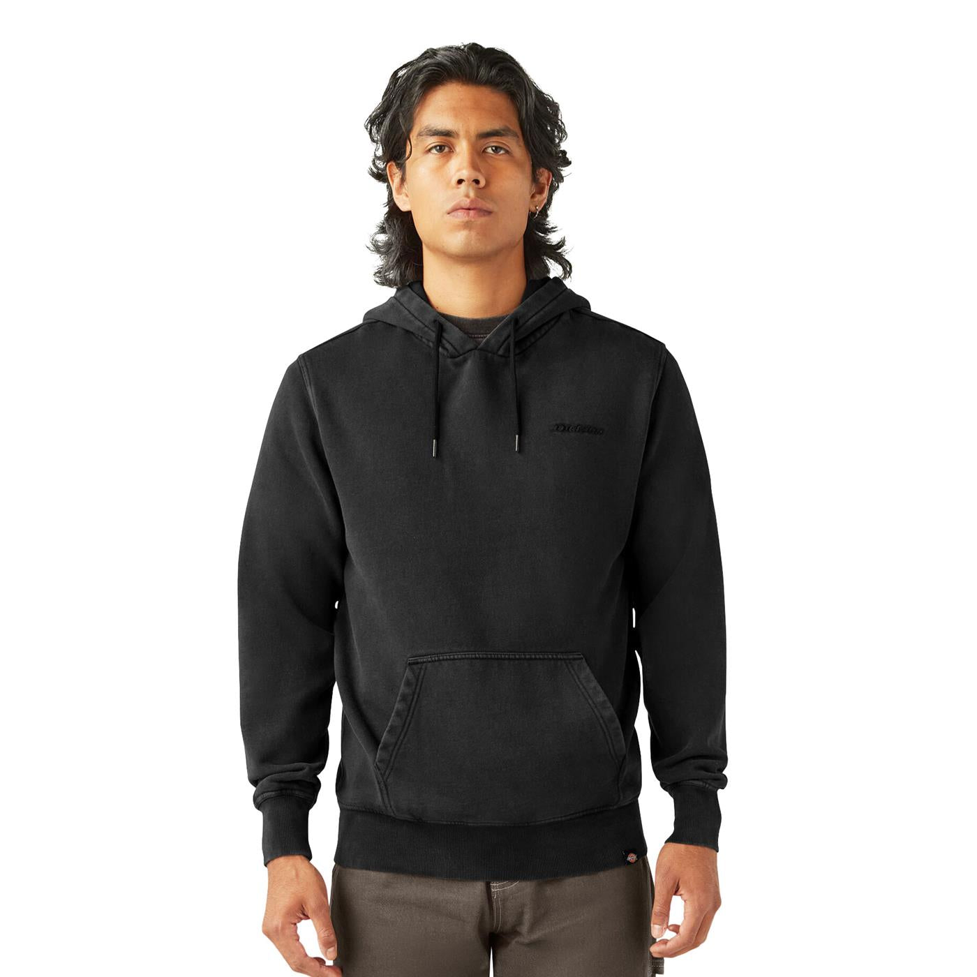 Dickies Plentywood Hoodie Black - DK0A866DBLK