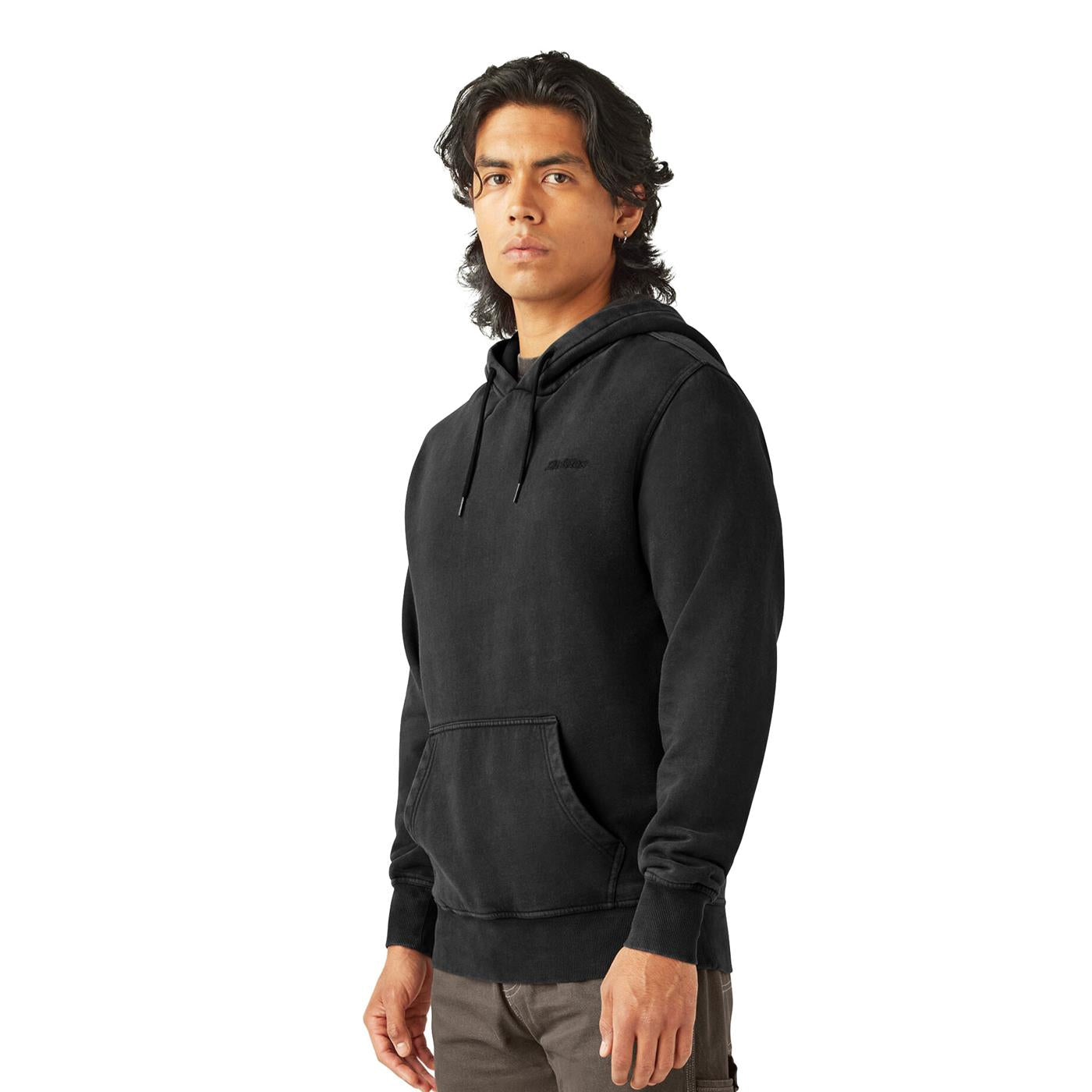 Dickies Plentywood Hoodie Black - DK0A866DBLK