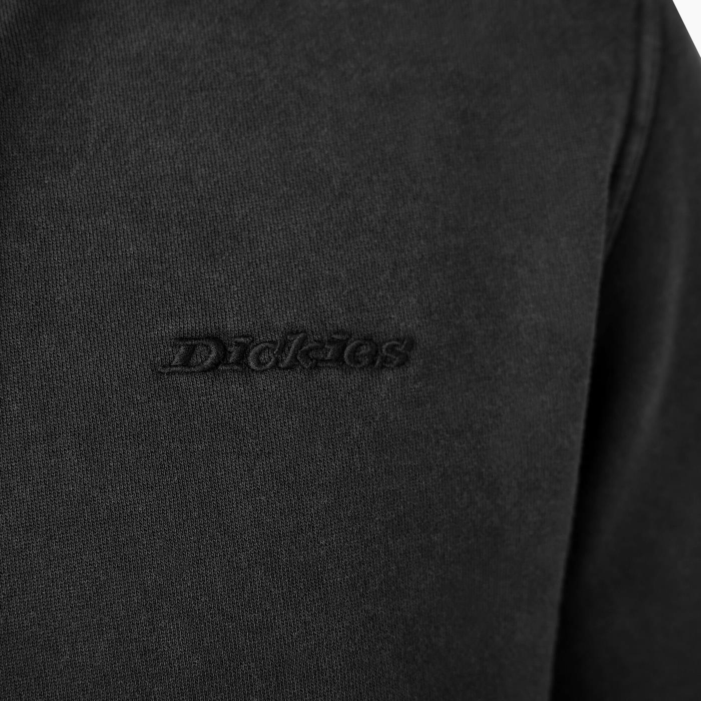 Dickies Plentywood Hoodie Black - DK0A866DBLK
