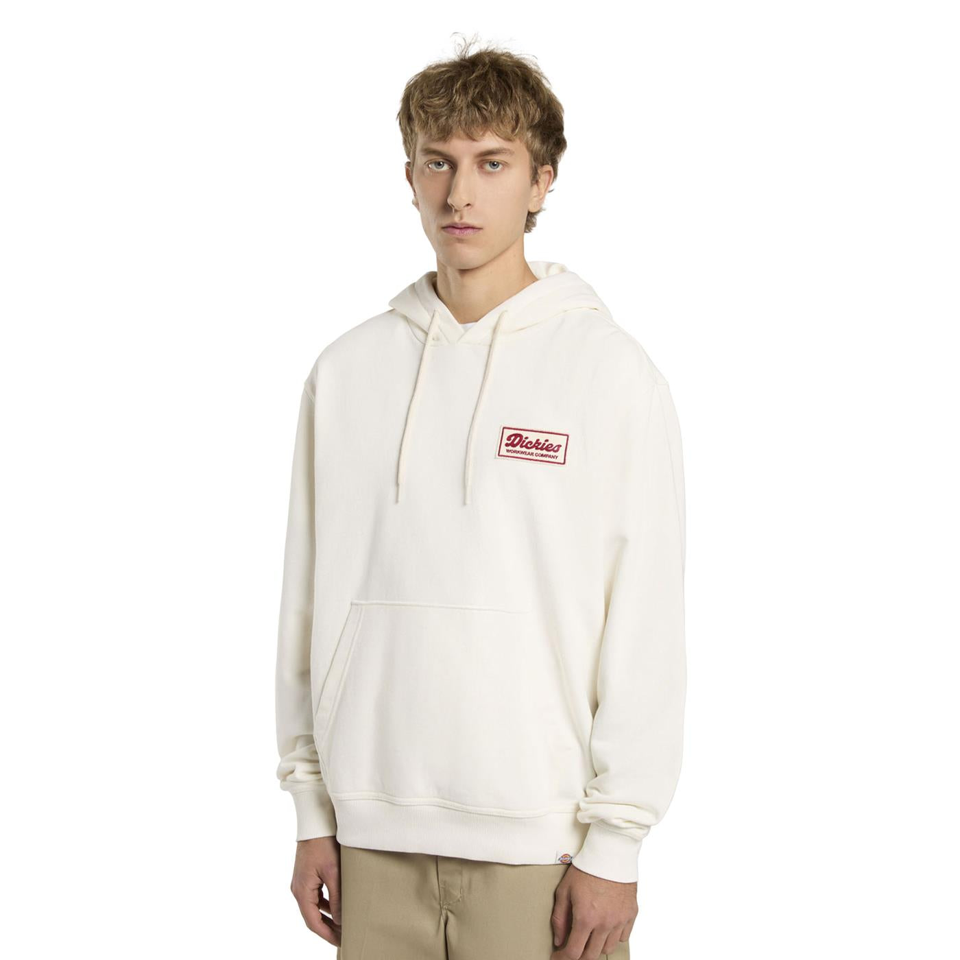 Dickies Lewistown Hoodie Egret - DK0A8683C48