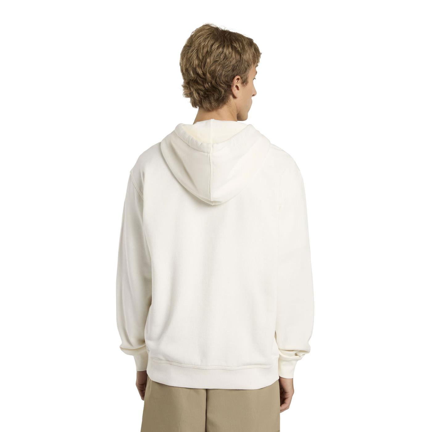 Dickies Lewistown Hoodie Egret - DK0A8683C48