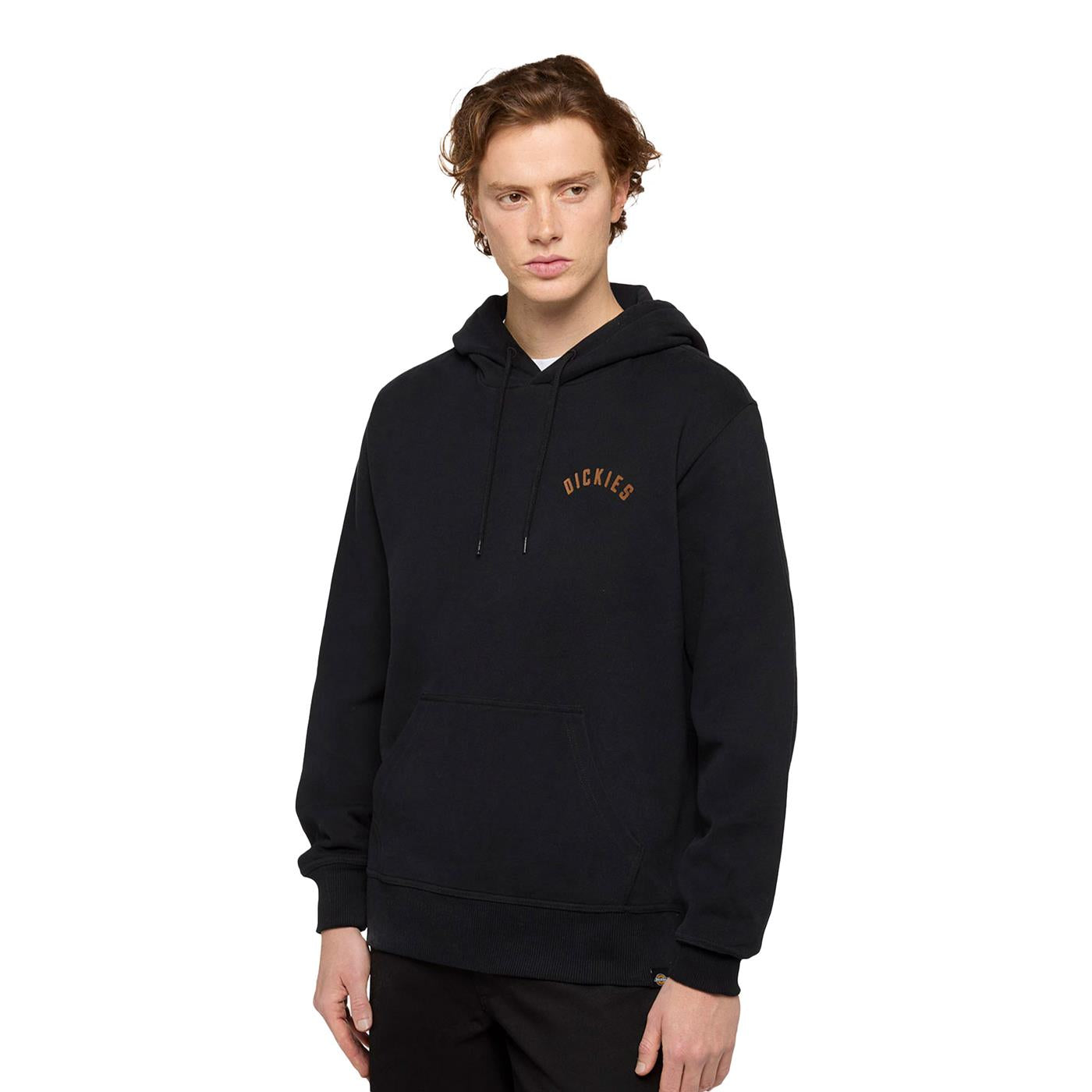 Dickies Panther Hoodie Black - DK0A87CIBLK
