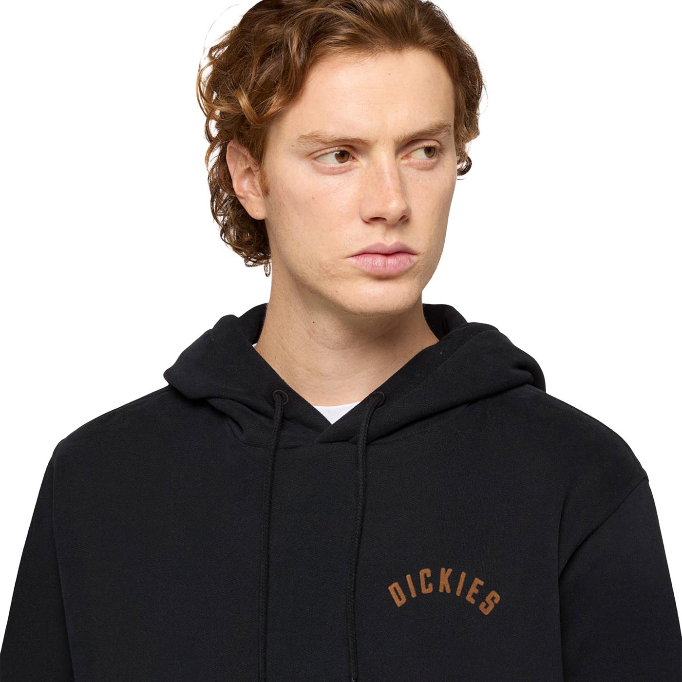 Dickies Panther Hoodie Black - DK0A87CIBLK