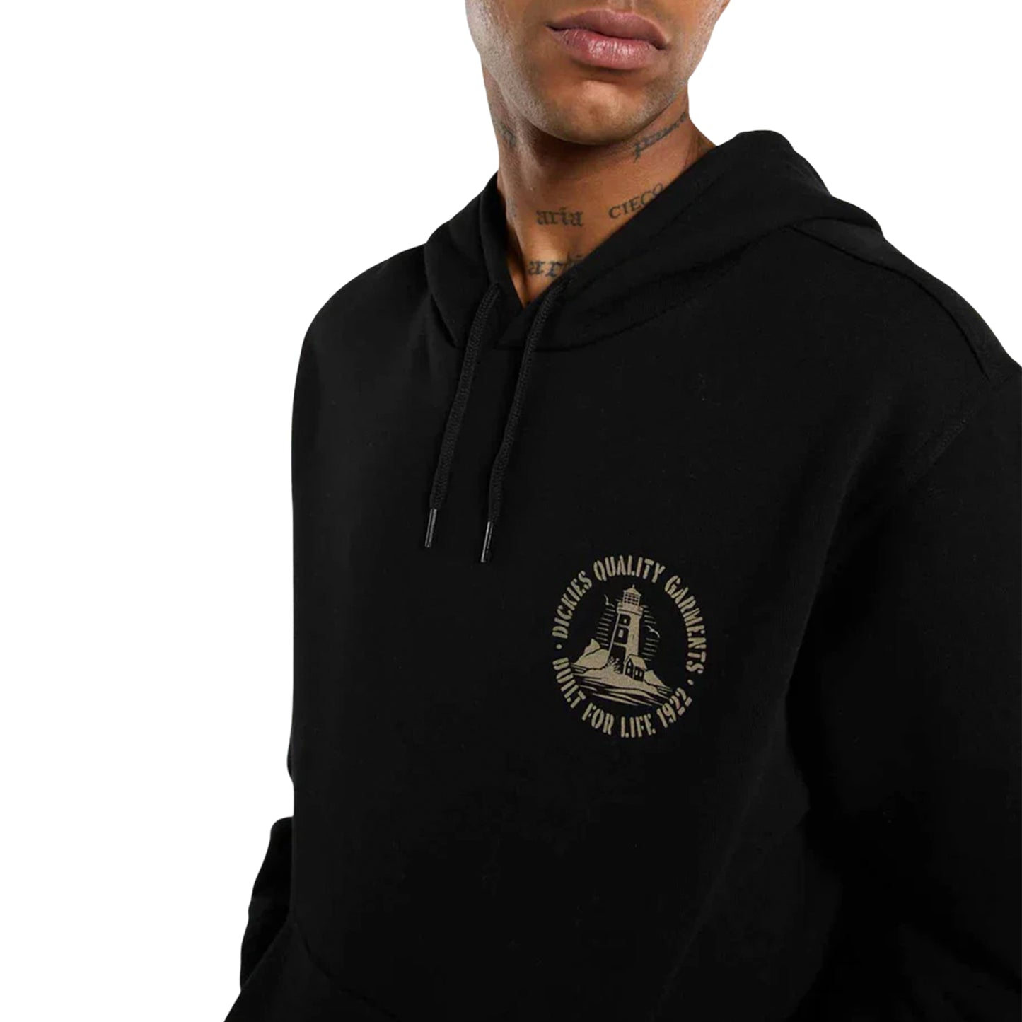 Dickies Parrotsville Hoodie Black - DK0A87NRBLK