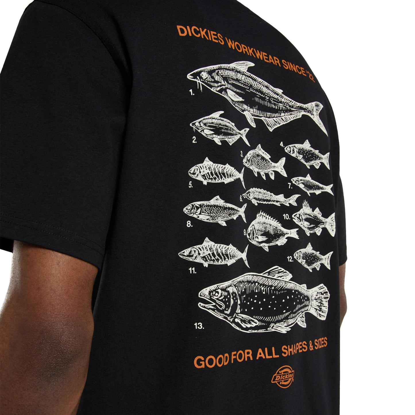 Dickies Laryville SS Tee Black - DK0A87QGBLK
