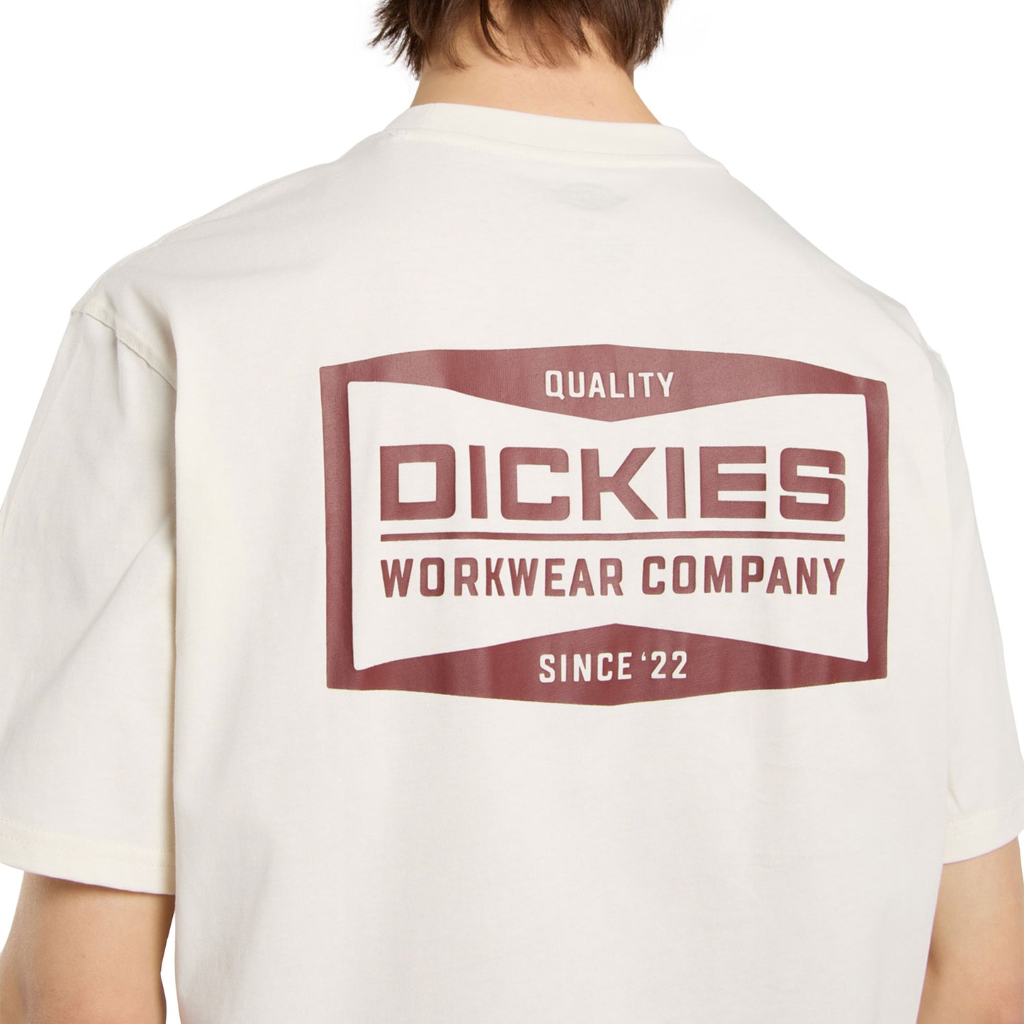 Dickies Bolivar SS Tee Egret - DK0A87QKC48