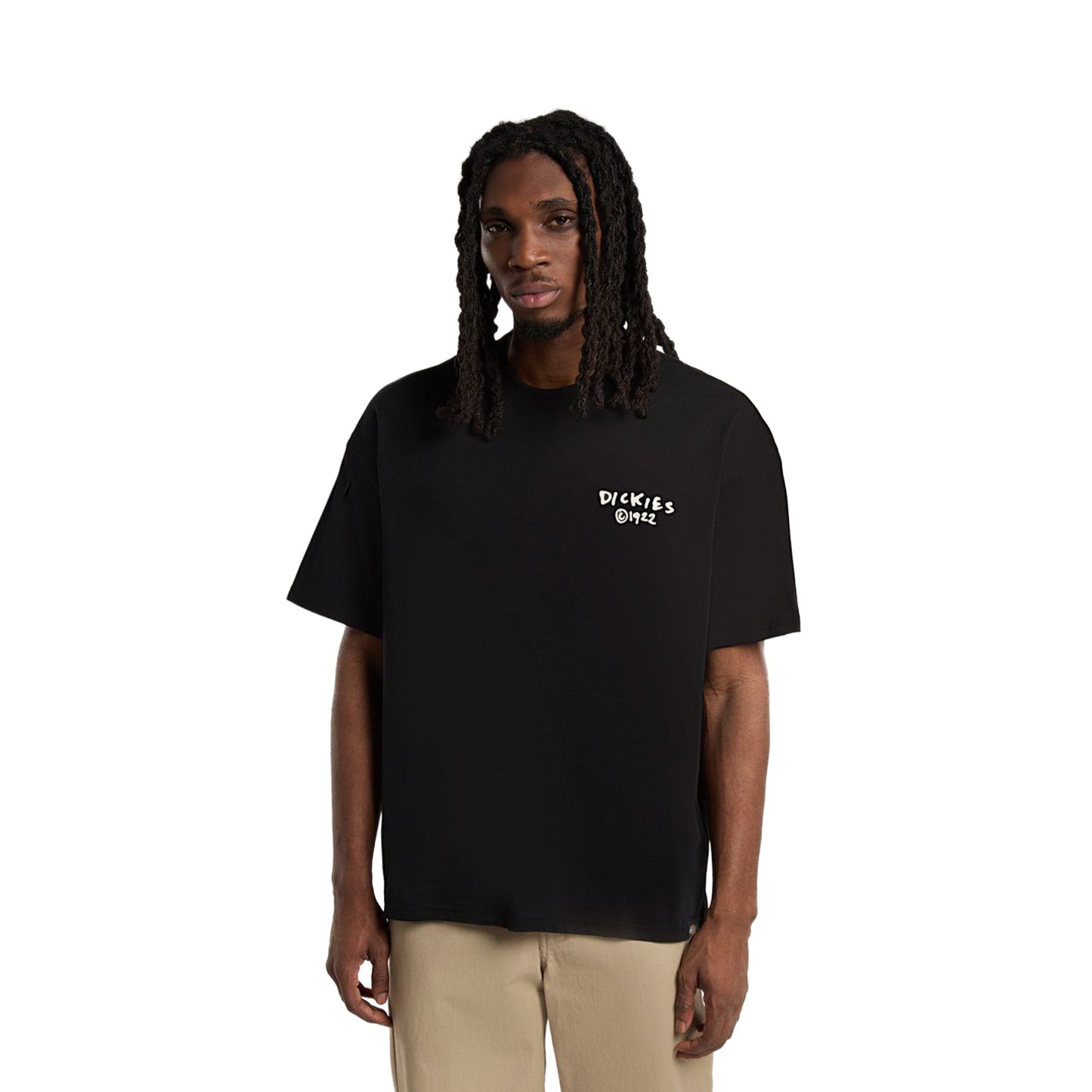Dickies Sneedville SS Tee Black