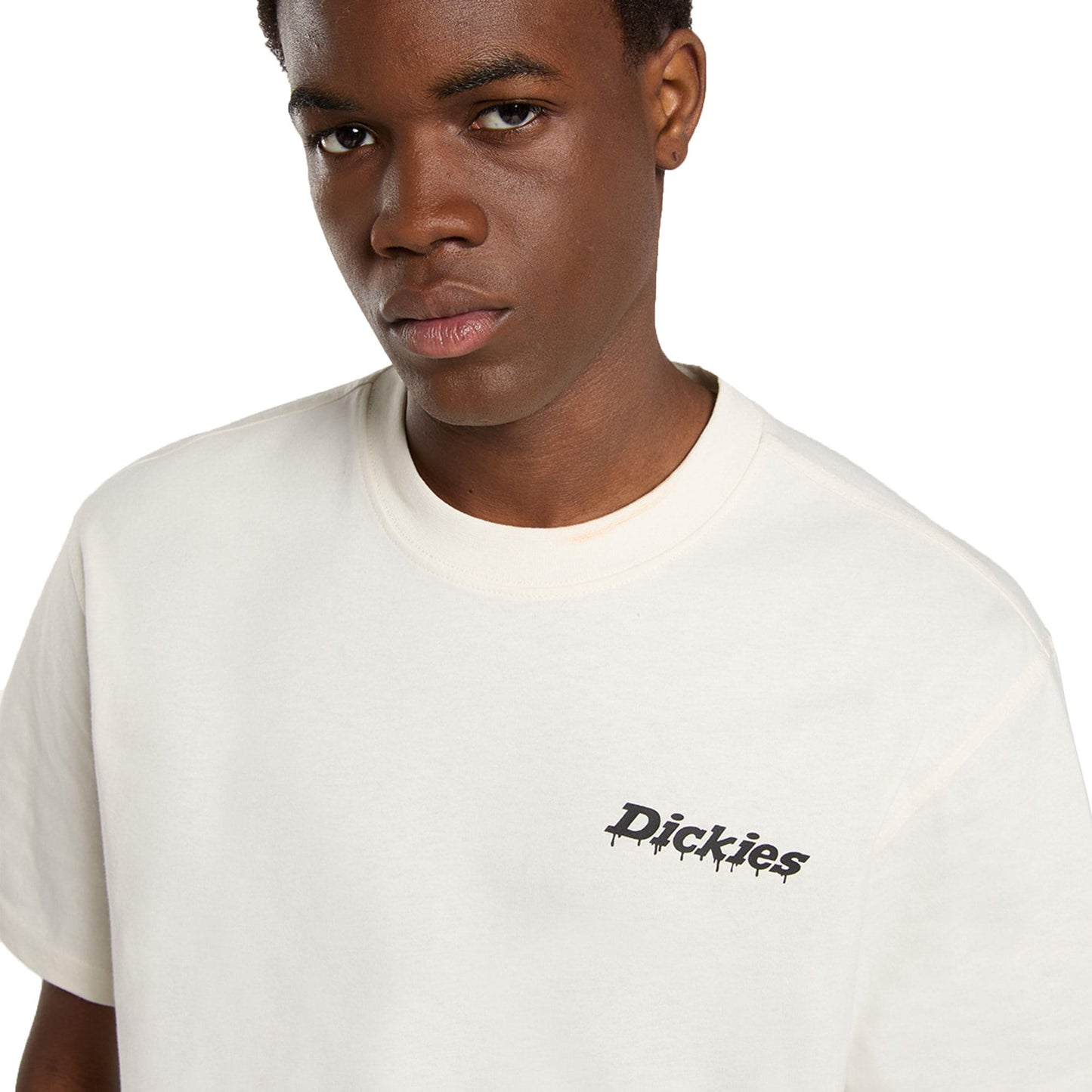Dickies Statesville SS Tee Egret - DK0A87QPC48