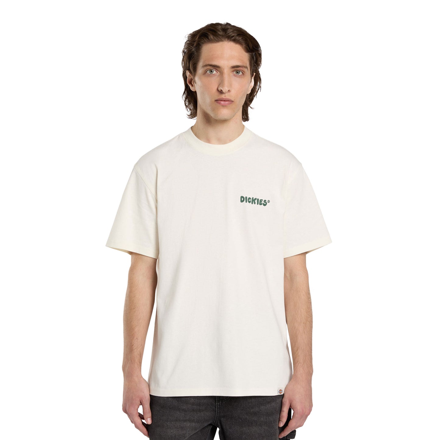 Dickies Gordonsville SS Tee Egret - DK0A87QUC48