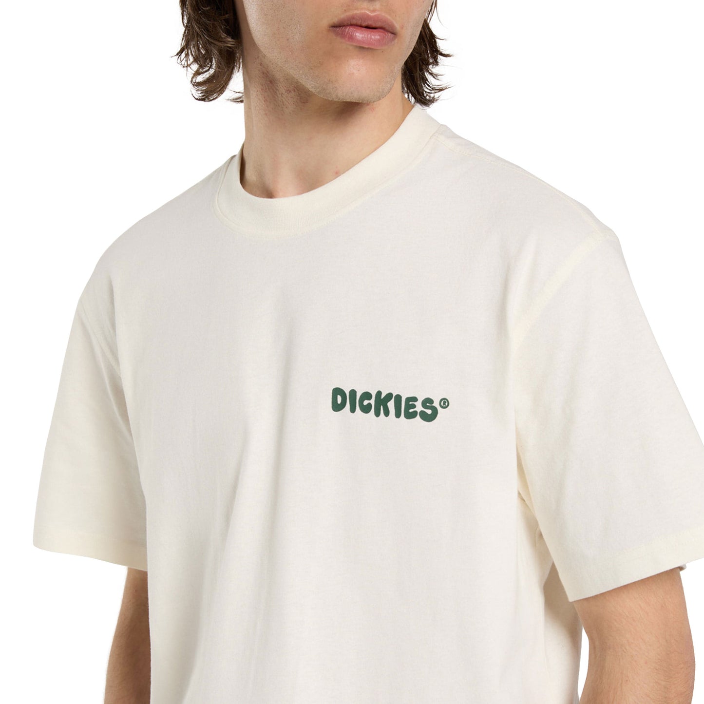 Dickies Gordonsville SS Tee Egret - DK0A87QUC48