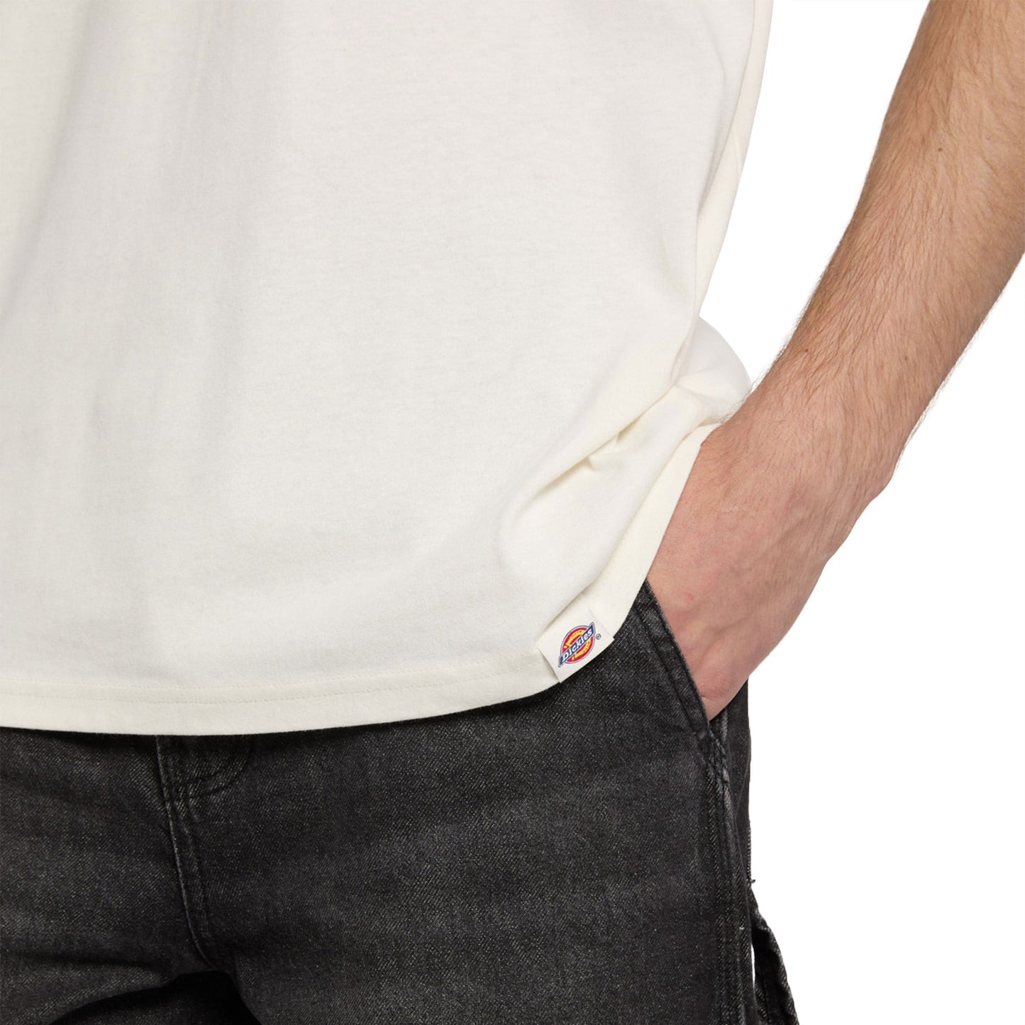 Dickies Gordonsville SS Tee Egret - DK0A87QUC48