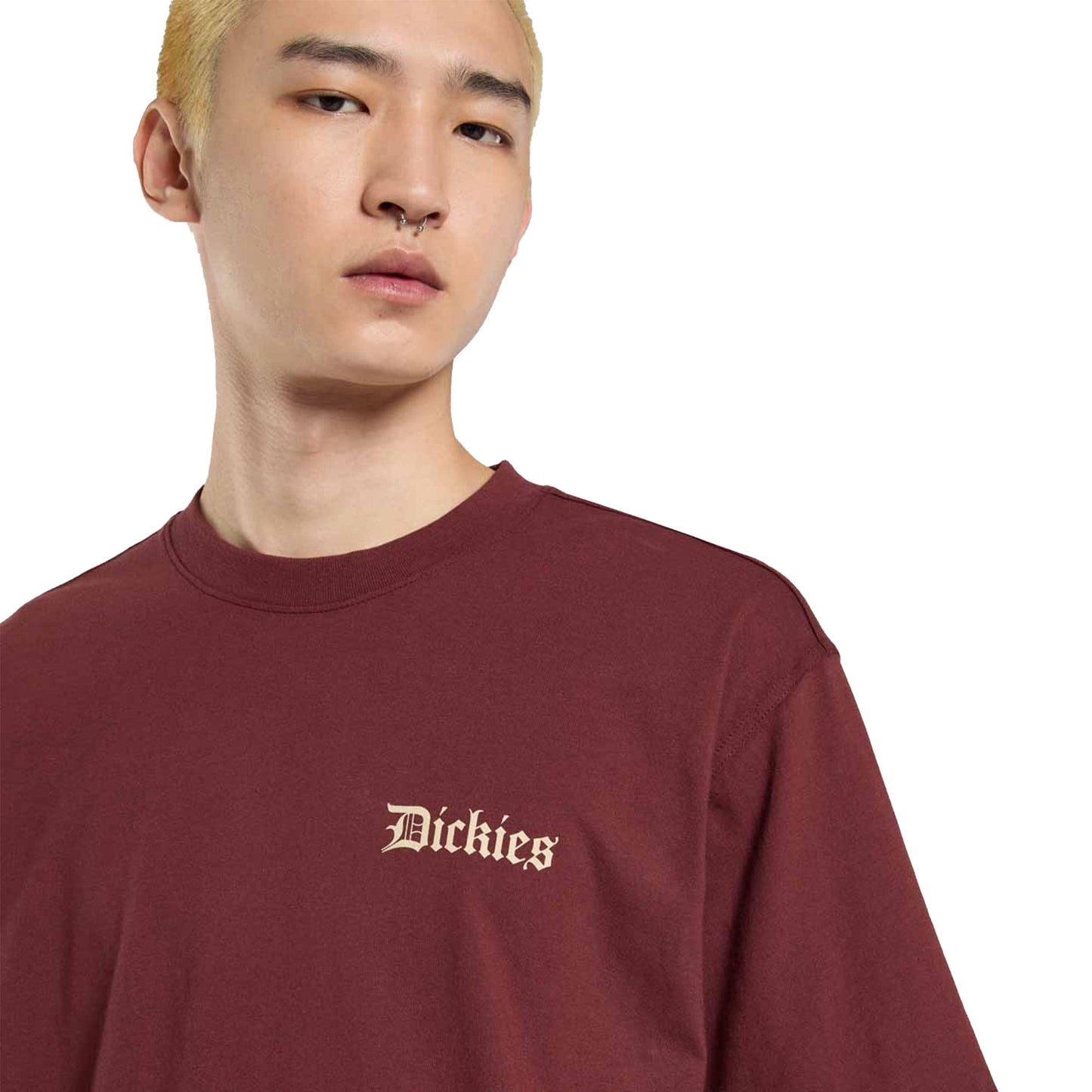 Dickies Diner SS Tee Andorra - DK0A87QXL16