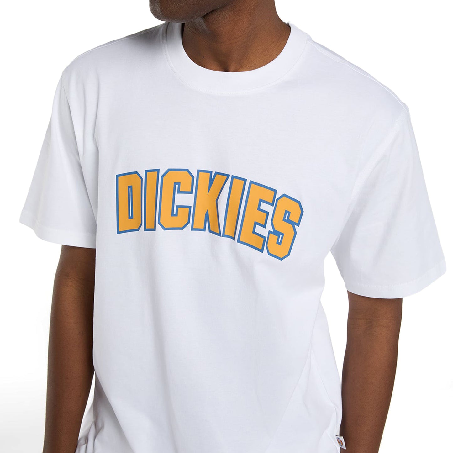 Dickies Aitkin T-Shirt White - DK0A88GL0WH
