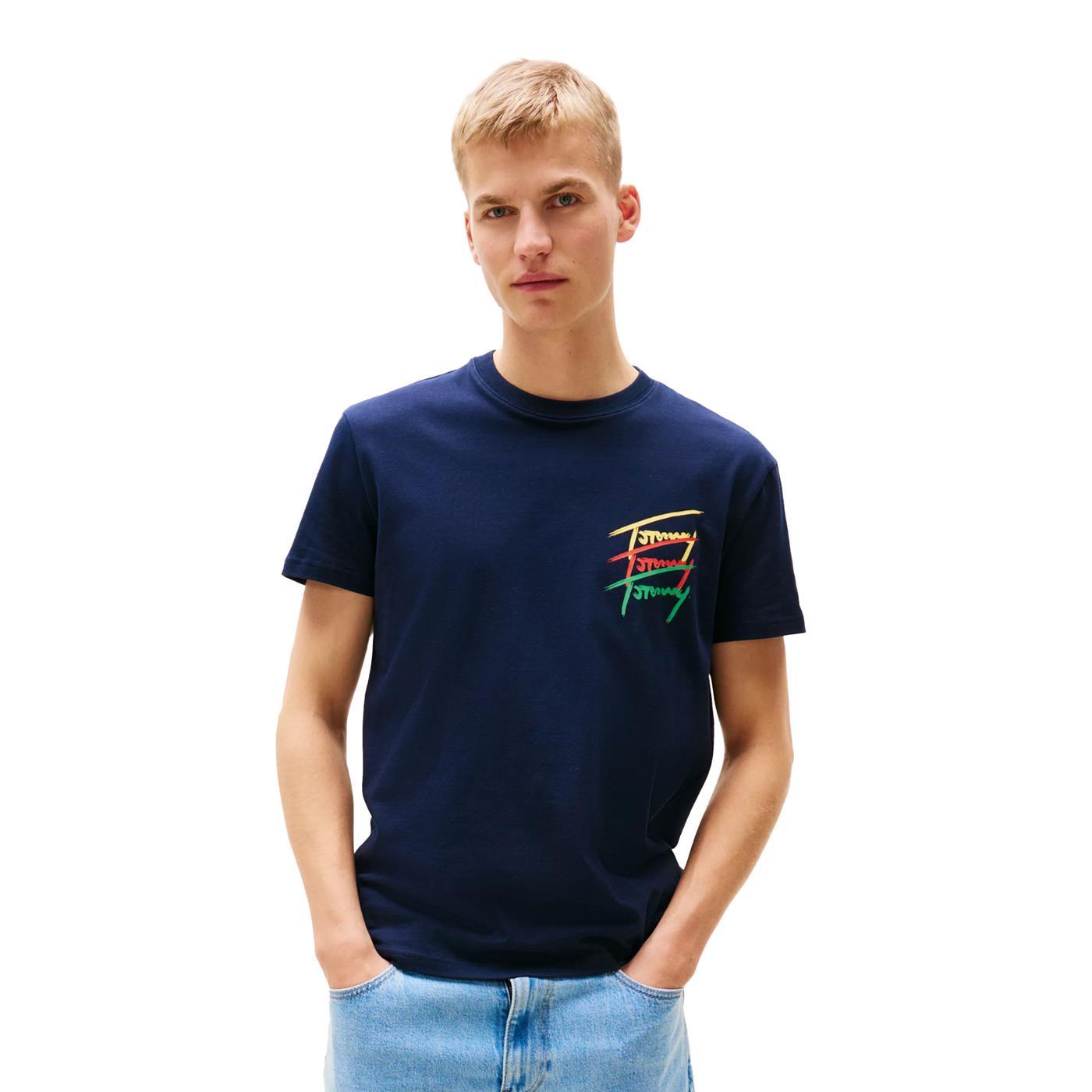 Tommy Jeans Regular Twisted Signature Tee Dark Night Navy - DM0DM20771C1G