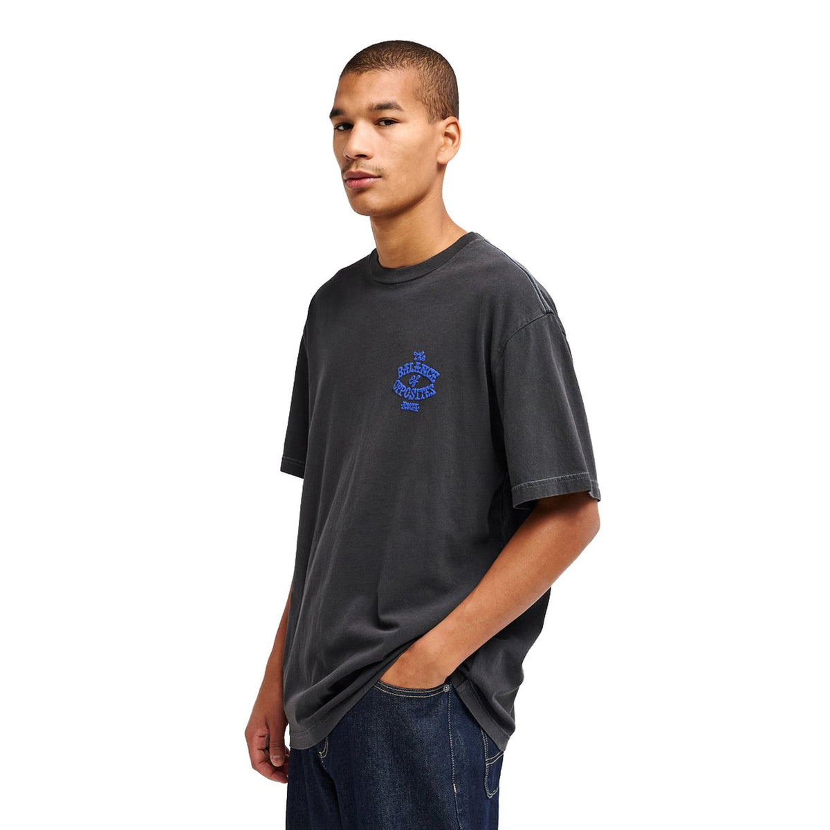 RVCA Dalas Snake Tee Washed Black - EVYZT00372-KTA0