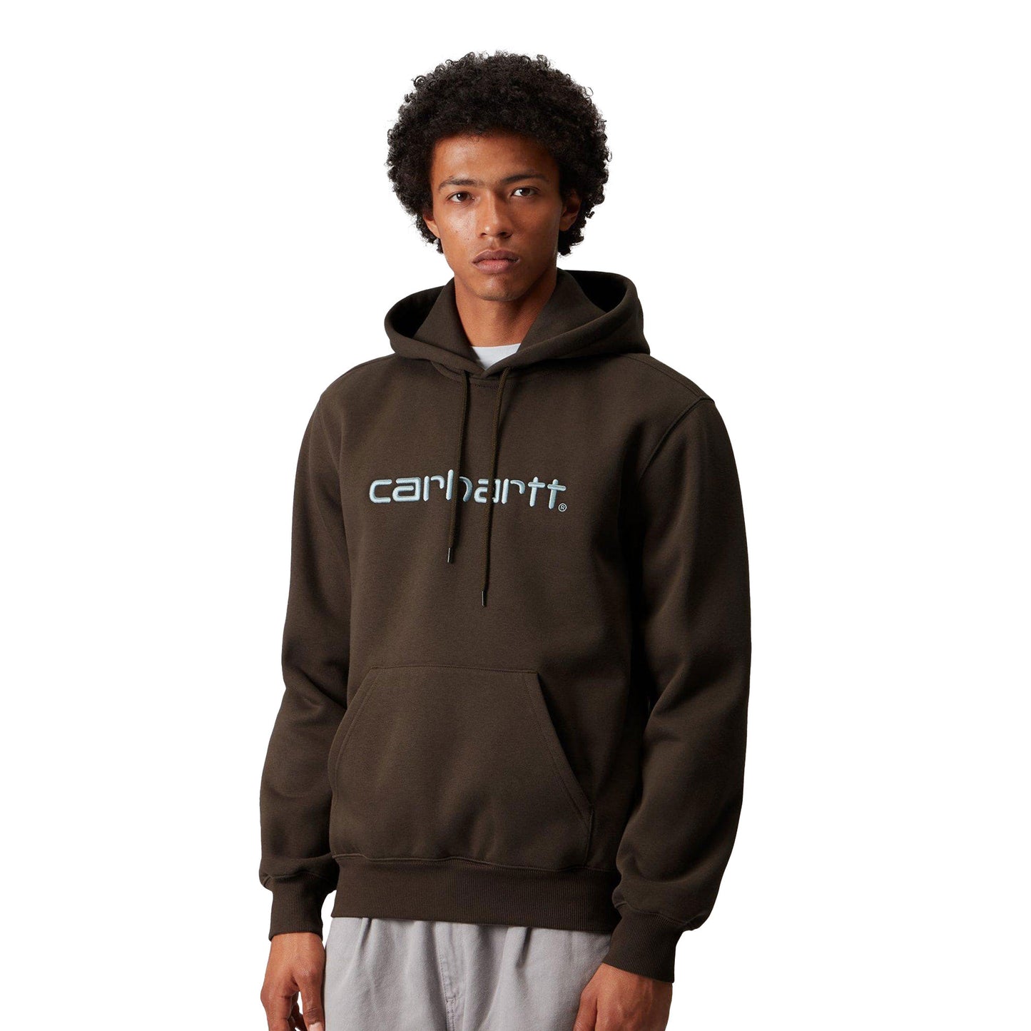 Carhartt WIP Hooded Carhartt Sweat Vitola/Citadel - I0305473CEXX