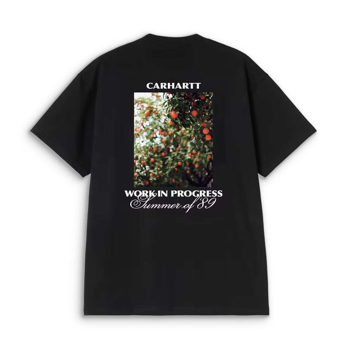 Carhartt WIP S/S Warm Views T-Shirt Black - I03624689XX