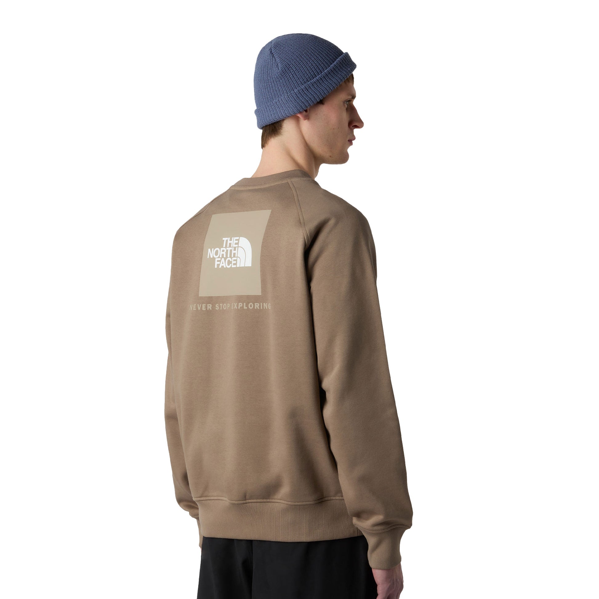 The North Face Raglan Box NSE Crew Mocha Brown/Mushroom  - NF0A89FAE1Q1