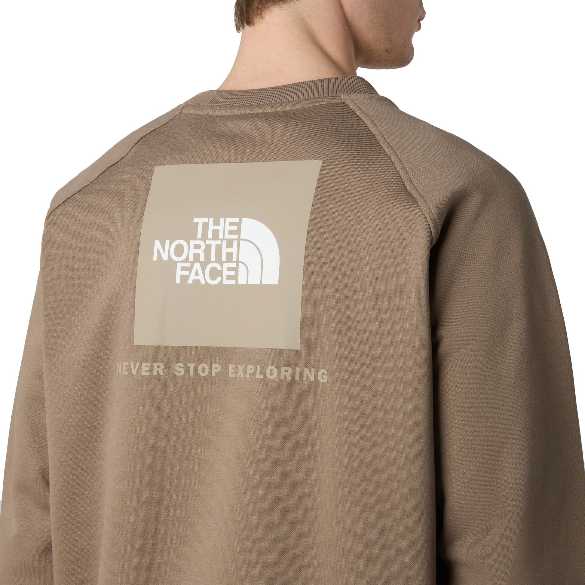 The North Face Raglan Box NSE Crew Mocha Brown/Mushroom  - NF0A89FAE1Q1