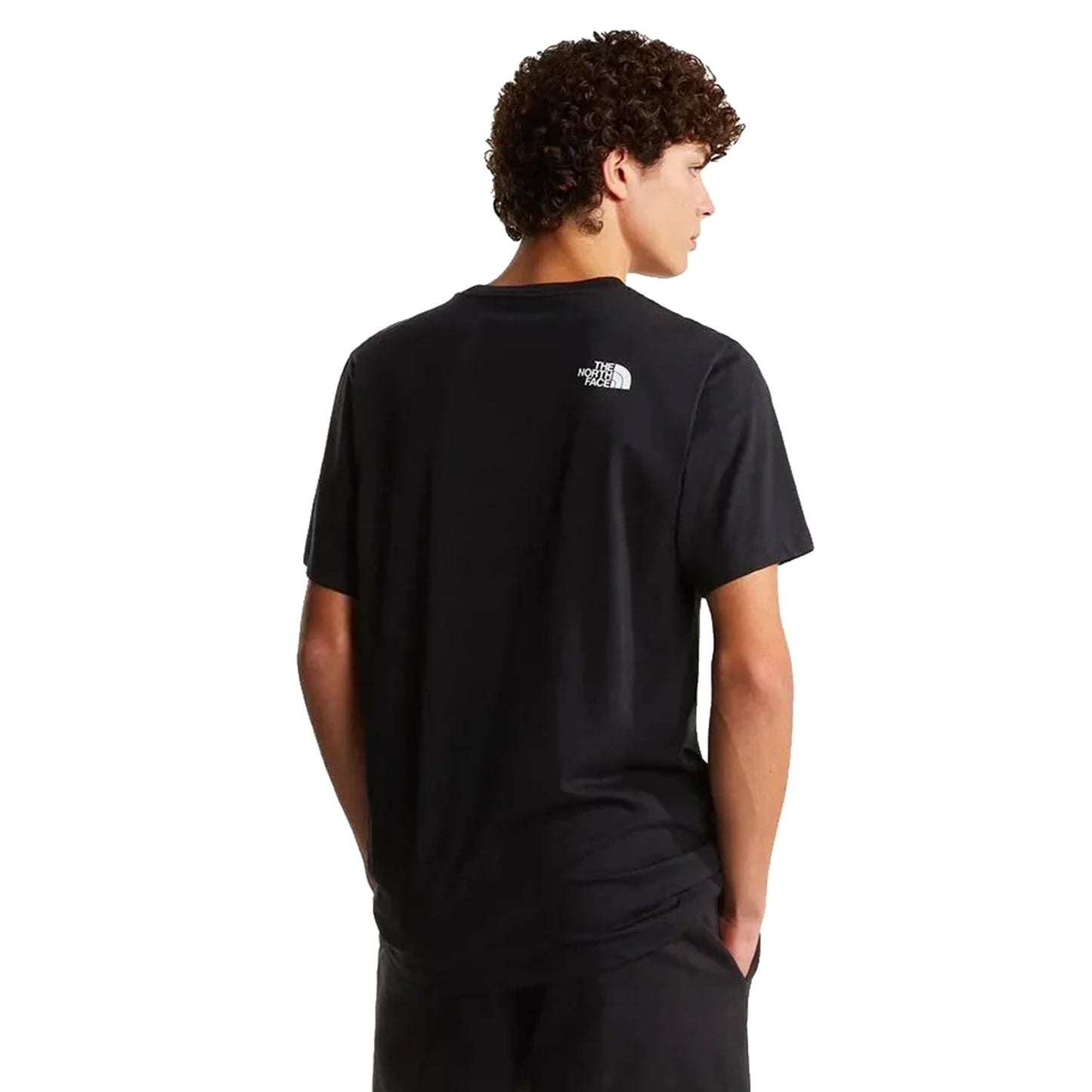 The North Face Evolution Box Half Dome Reg SS Tee TNF Black - NF0A8G9CJK31