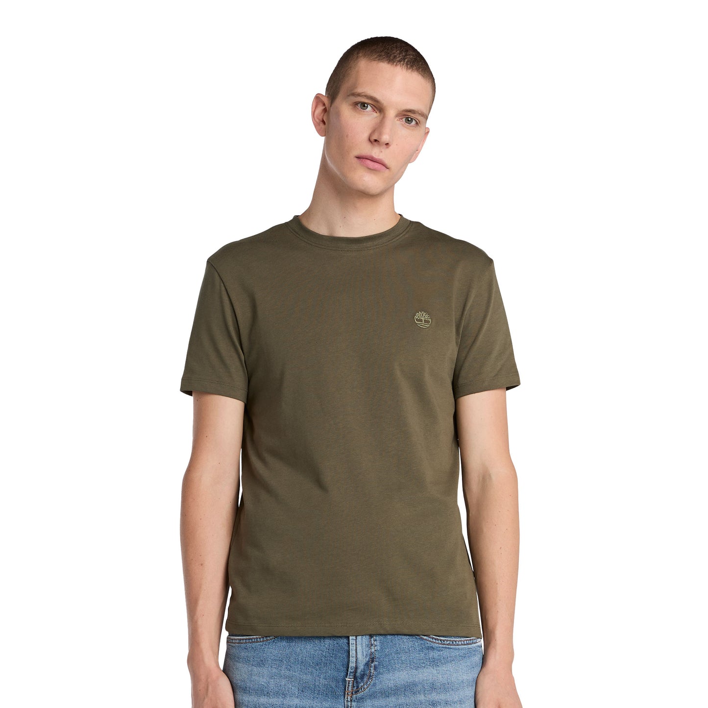 Timberland Dunstan River SS Tee Leaf Green/Cassel Earth - TB0A2BPRAR51