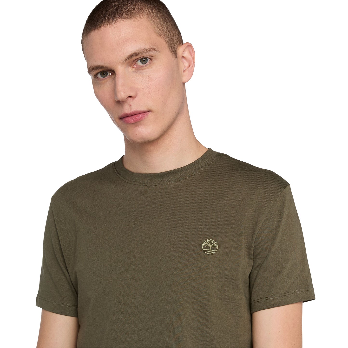 Timberland Dunstan River SS Tee Leaf Green/Cassel Earth - TB0A2BPRAR51
