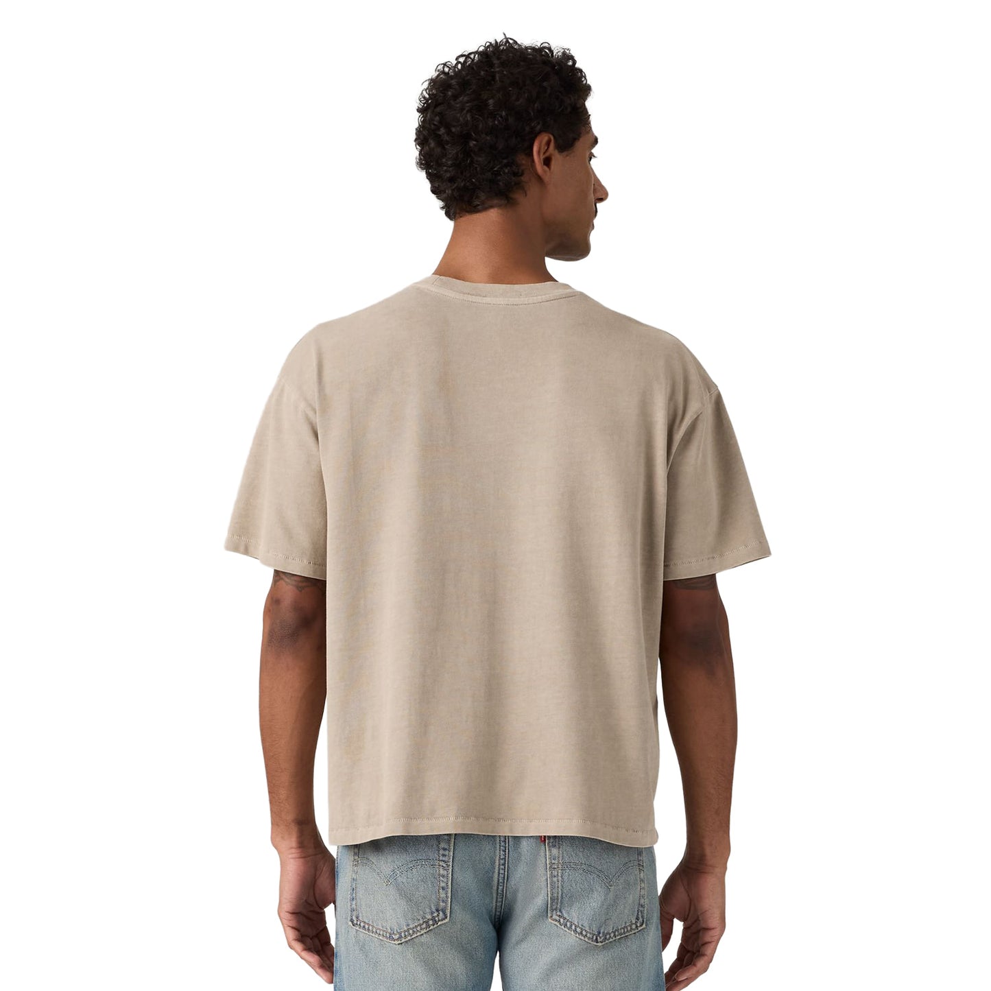 Levis Boxy SS Tee Sheen Wash Vintage Khaki  - 0049F-0039