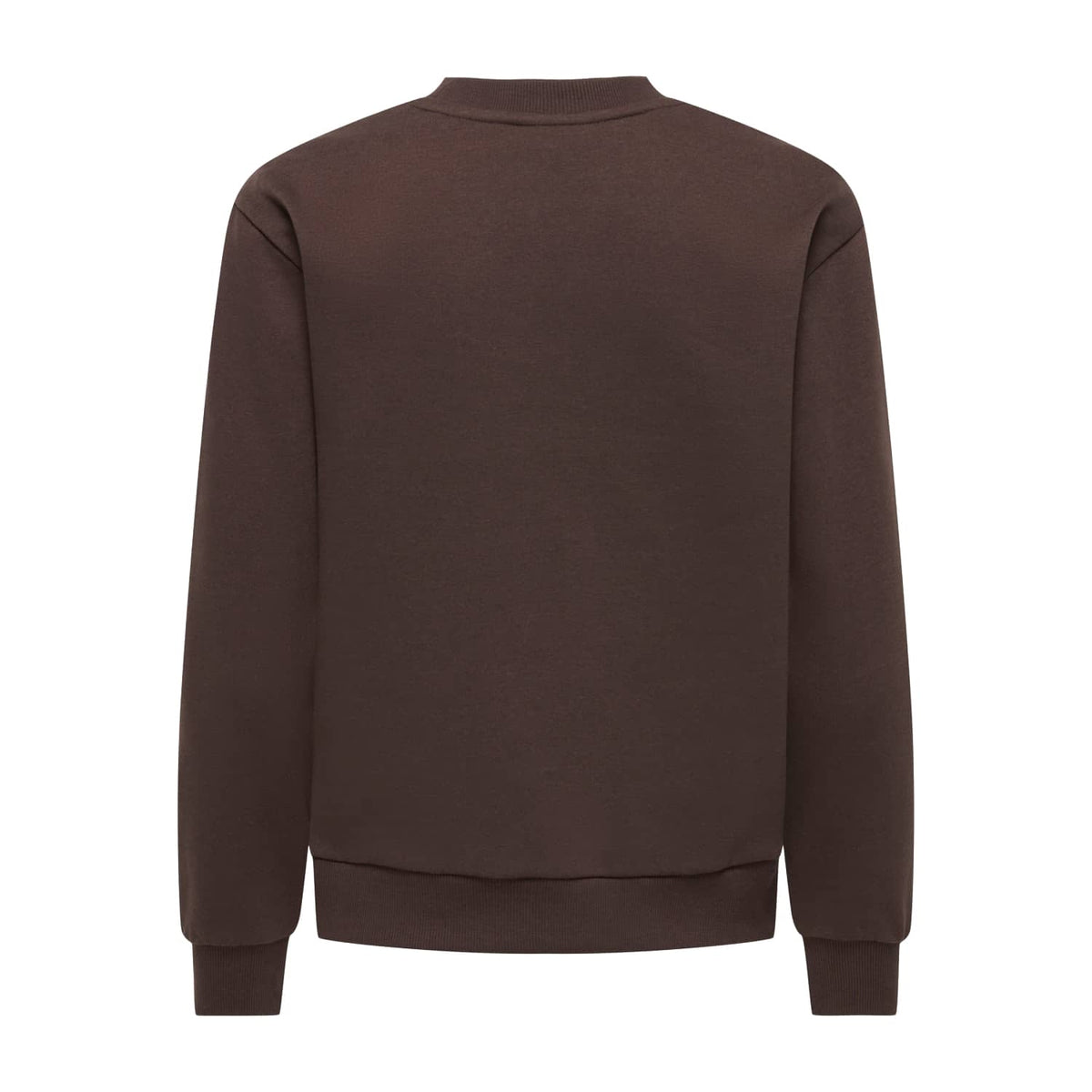 JDY Paris L/S Embroidered Sweat Coffee Bean  - 15221015CB