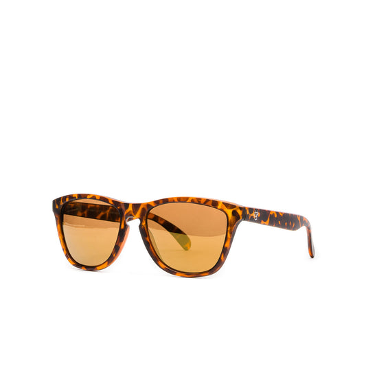 Chpo Bodhi Sunglasses Turtle Brown/Brown  - 16131SD