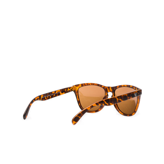 Chpo Bodhi Sunglasses Turtle Brown/Brown  - 16131SD