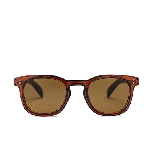 Chpo O Doyle Sunglasses Cola/Cola  - 16133SB