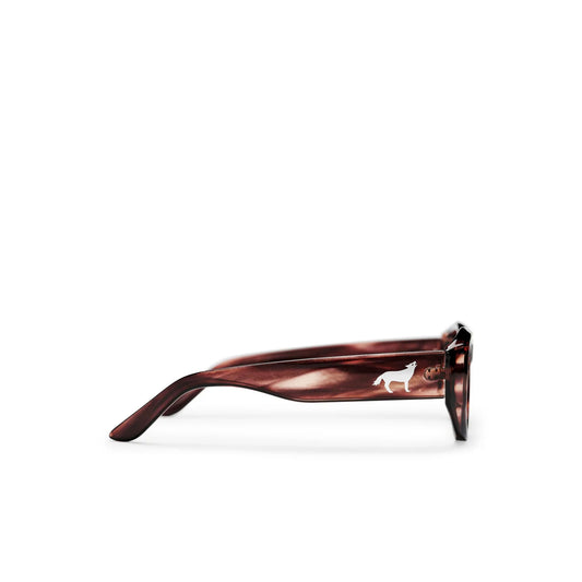 Chpo Marina Sunglasses Turtle Grey/Grey  - 16134LD