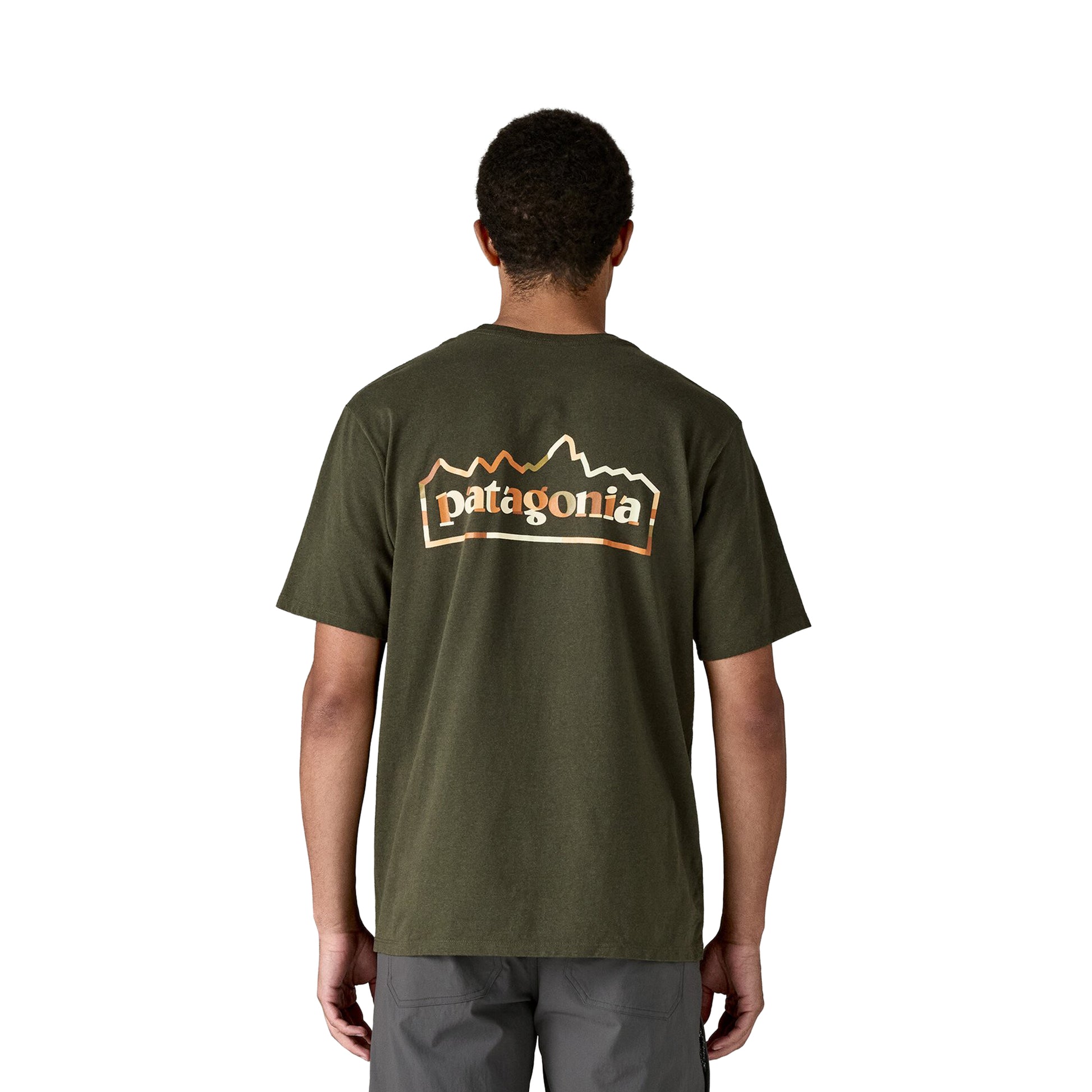 Patagonia Unity Fitz Responsibili-Tee Basin Green  - 37768-BSNG