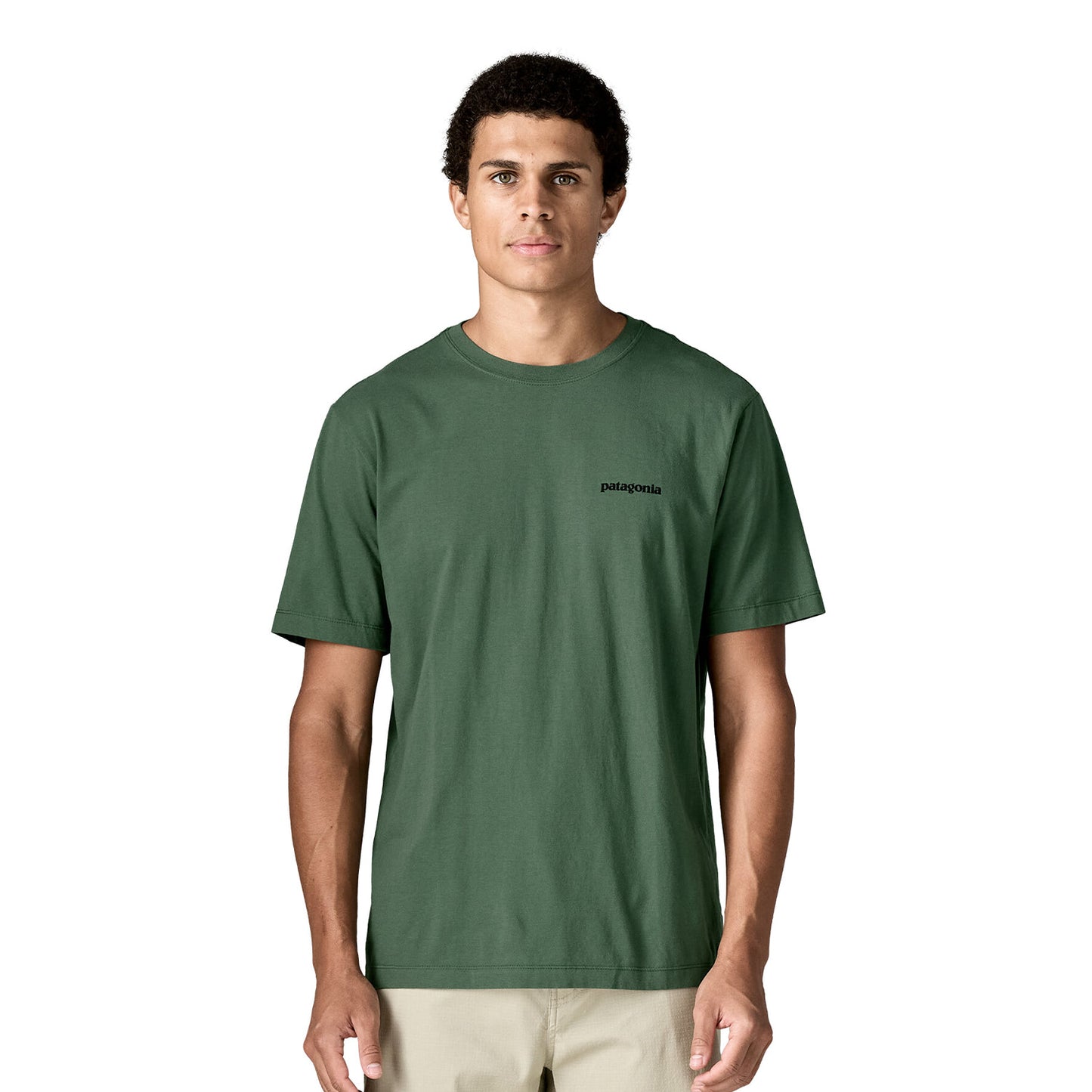 Patagonia P-6 T-Shirt Canopy Green  - 37882-CNGR