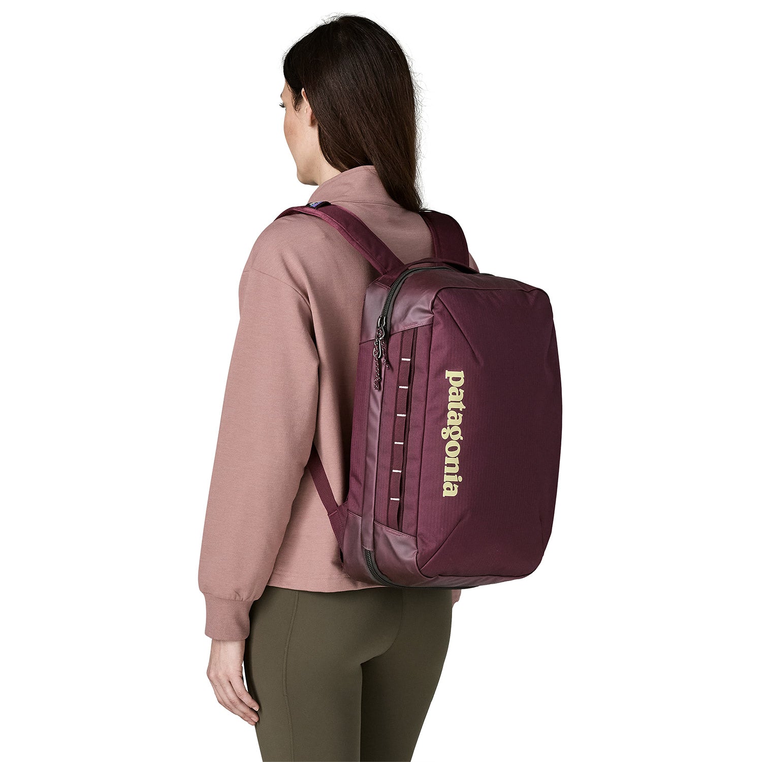 Patagonia Black Hole® Micro MLC™ Backpack 22L Berry Fig  - 49260-BYFG