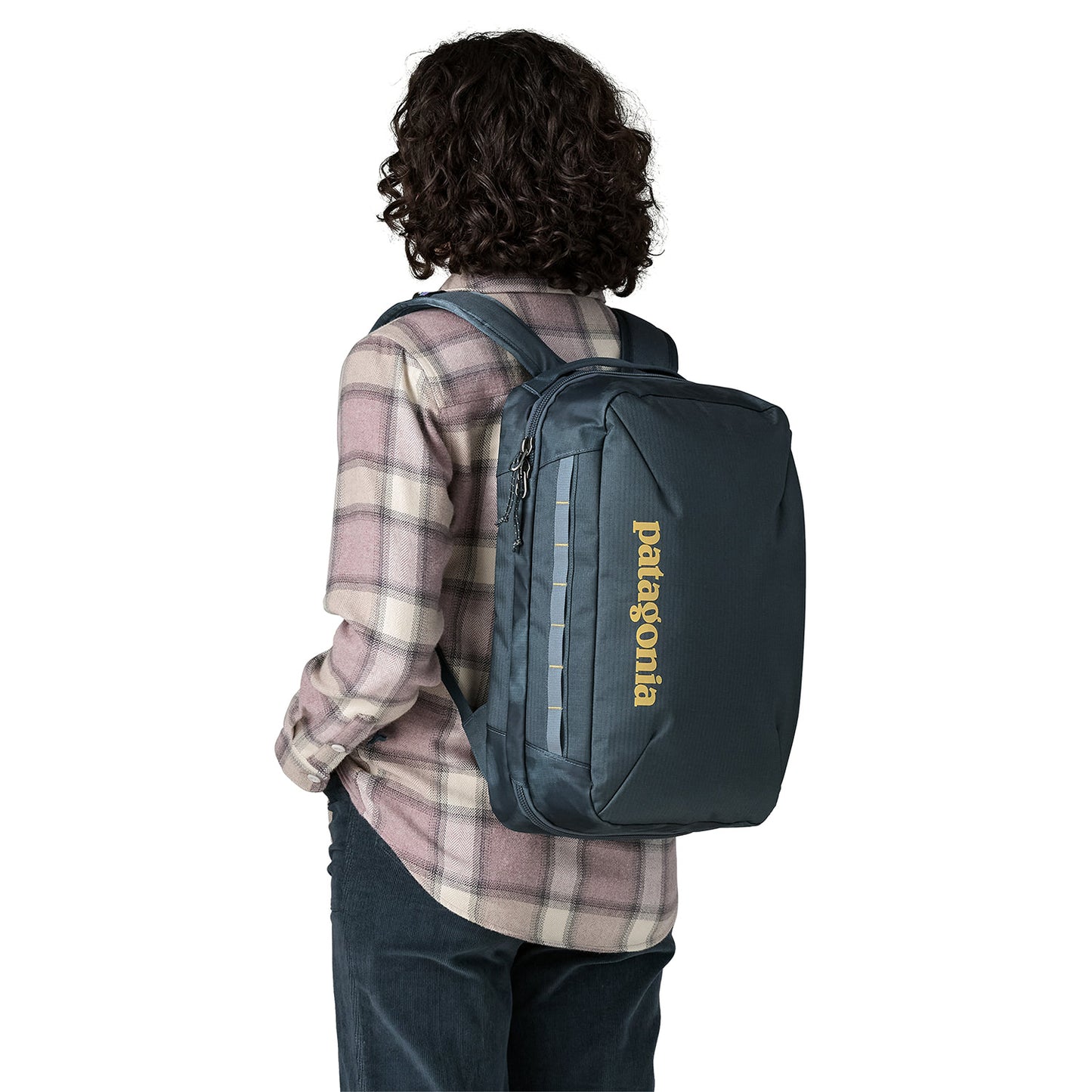 Patagonia Black Hole® Micro MLC™ Backpack 22L Sastrugi  - 49260-SASM